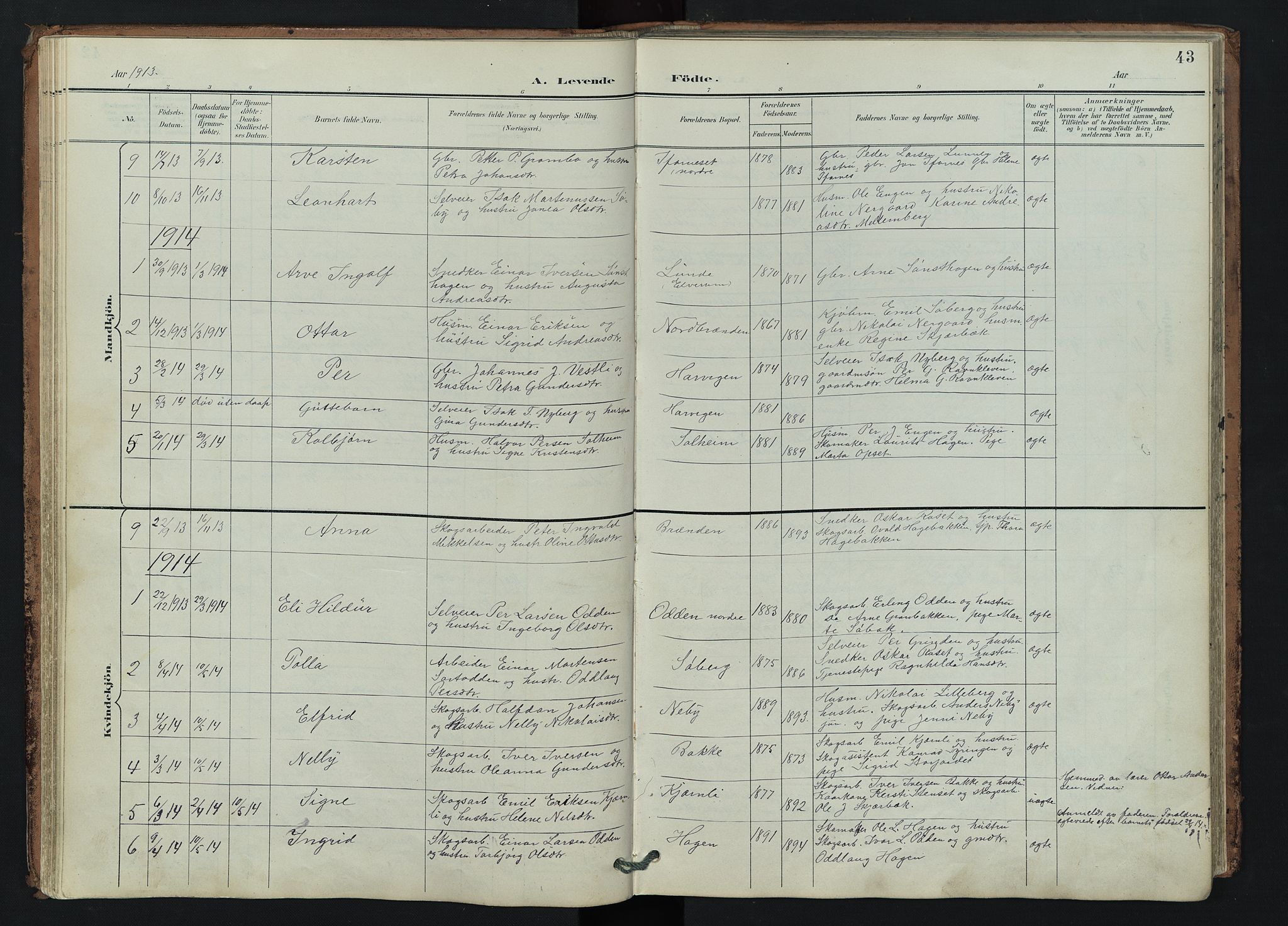 Trysil prestekontor, AV/SAH-PREST-046/H/Ha/Hab/L0007: Parish register (copy) no. 7, 1896-1948, p. 43