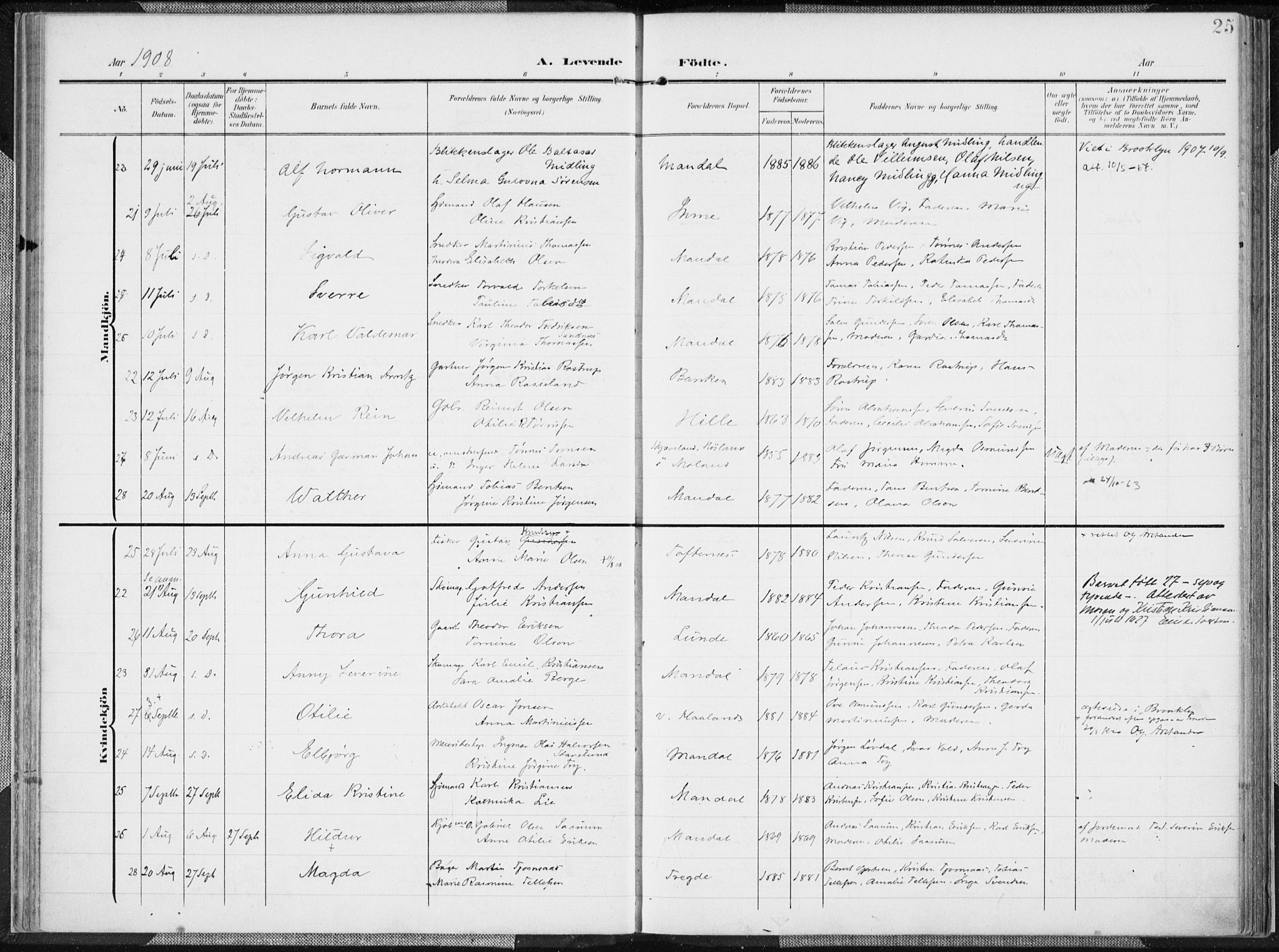 Mandal sokneprestkontor, AV/SAK-1111-0030/F/Fa/Faa/L0020: Parish register (official) no. A 20, 1906-1912, p. 25