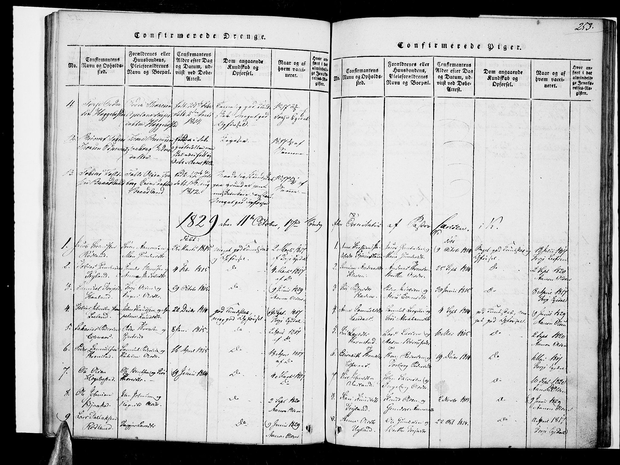 Nord-Audnedal sokneprestkontor, SAK/1111-0032/F/Fa/Fab/L0001: Parish register (official) no. A 1, 1816-1858, p. 253
