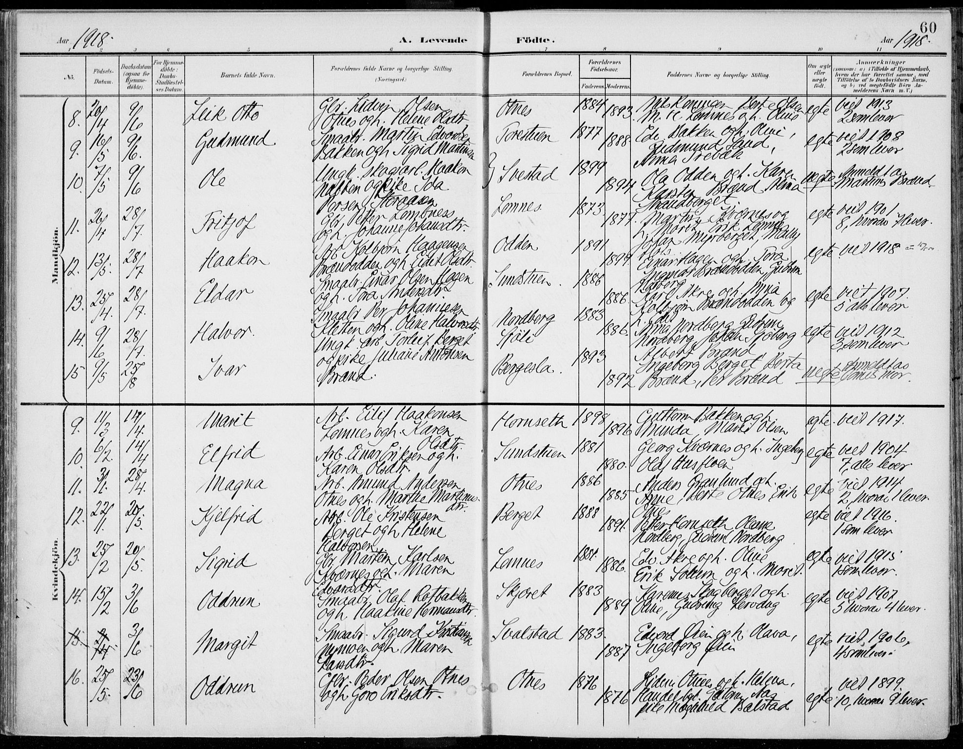 Rendalen prestekontor, AV/SAH-PREST-054/H/Ha/Haa/L0011: Parish register (official) no. 11, 1901-1925, p. 60