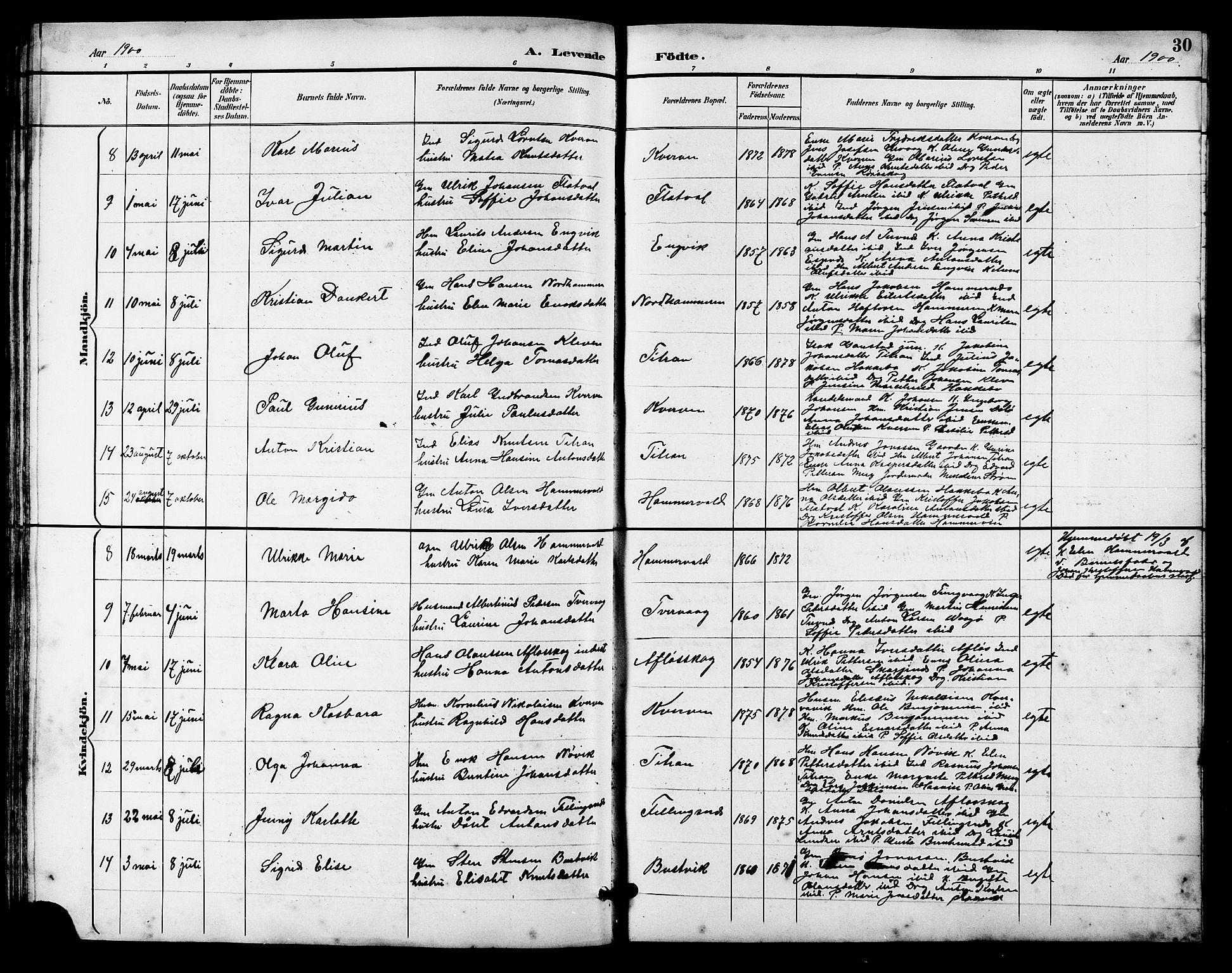 Ministerialprotokoller, klokkerbøker og fødselsregistre - Sør-Trøndelag, SAT/A-1456/641/L0598: Parish register (copy) no. 641C02, 1893-1910, p. 30