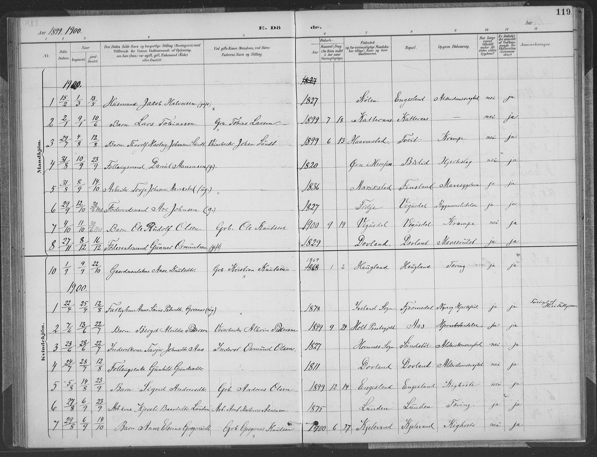 Herefoss sokneprestkontor, AV/SAK-1111-0019/F/Fa/Fab/L0004: Parish register (official) no. A 4, 1887-1909, p. 119