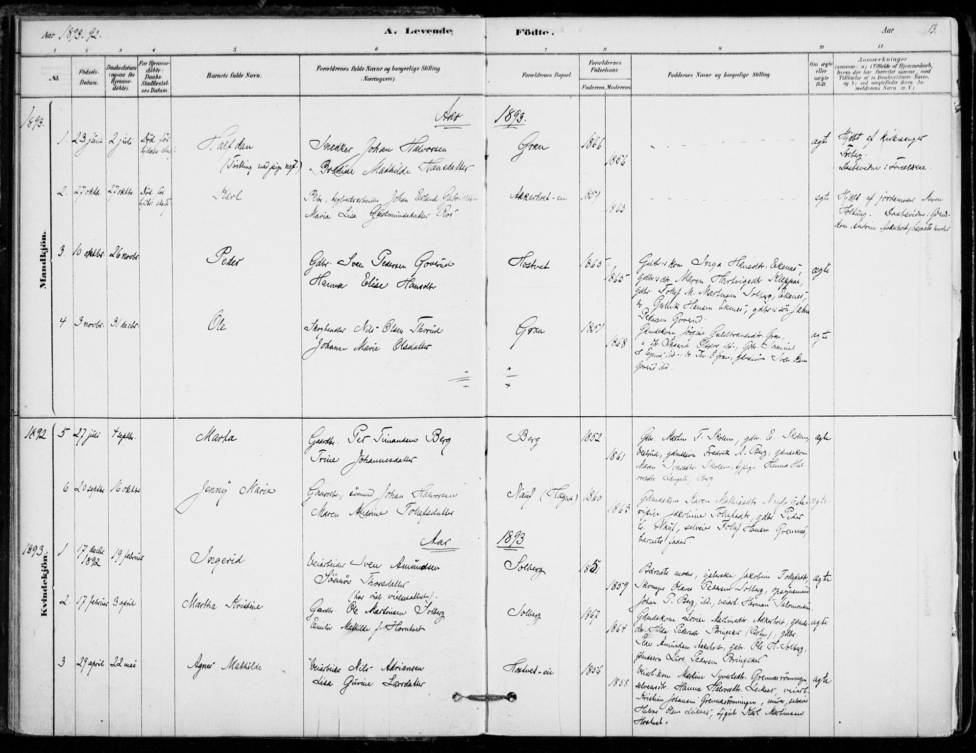 Hof kirkebøker, AV/SAKO-A-64/F/Fb/L0001: Parish register (official) no. II 1, 1878-1907, p. 13