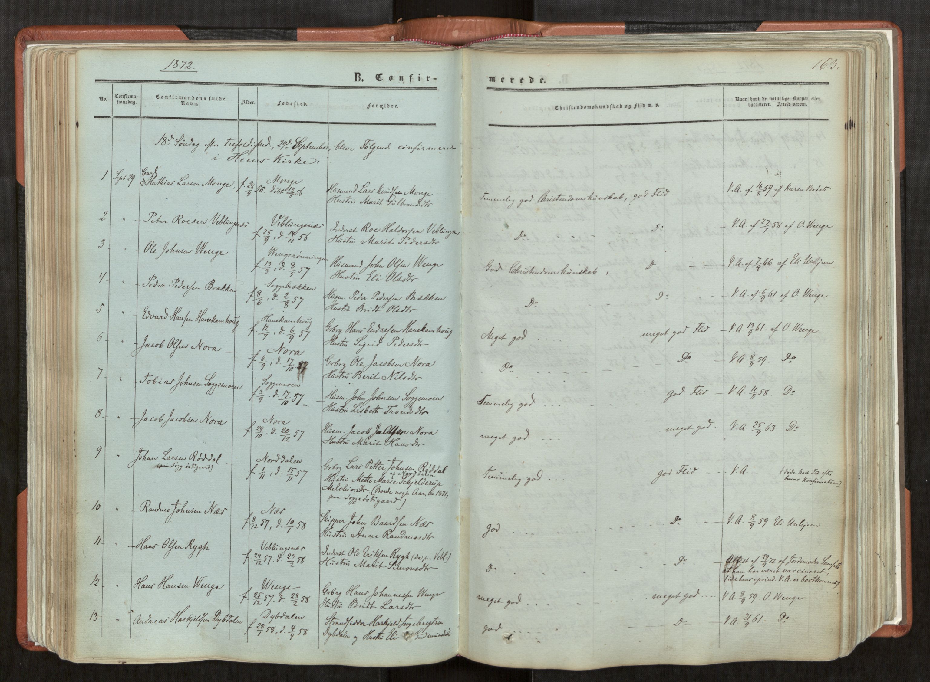 Ministerialprotokoller, klokkerbøker og fødselsregistre - Møre og Romsdal, SAT/A-1454/544/L0572: Parish register (official) no. 544A05, 1854-1886, p. 163