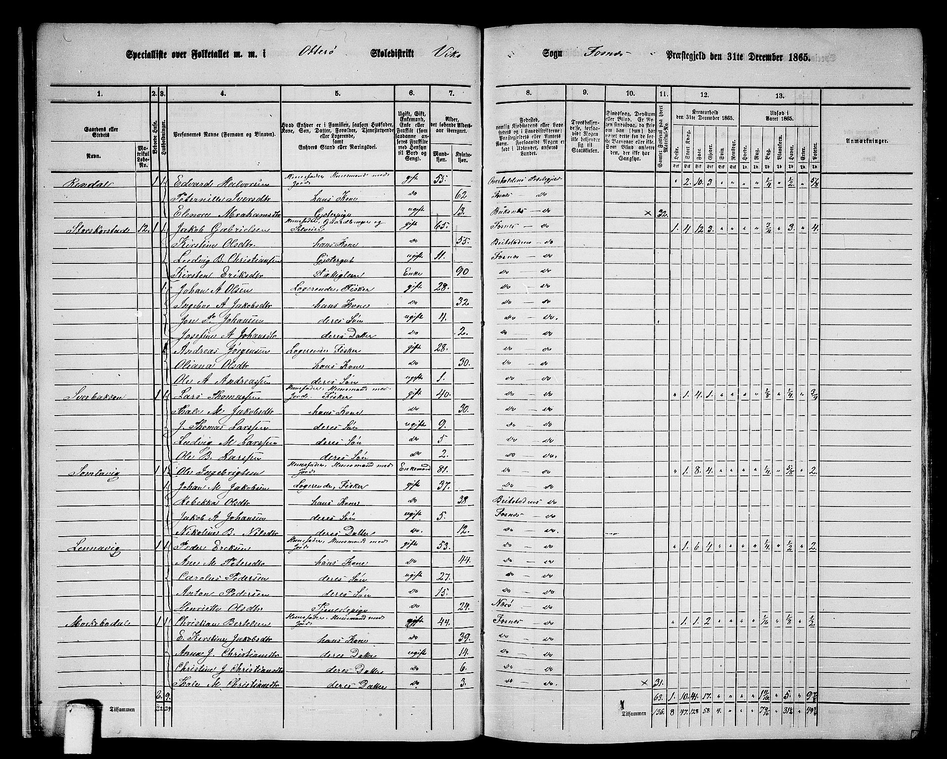 RA, 1865 census for Fosnes, 1865, p. 20