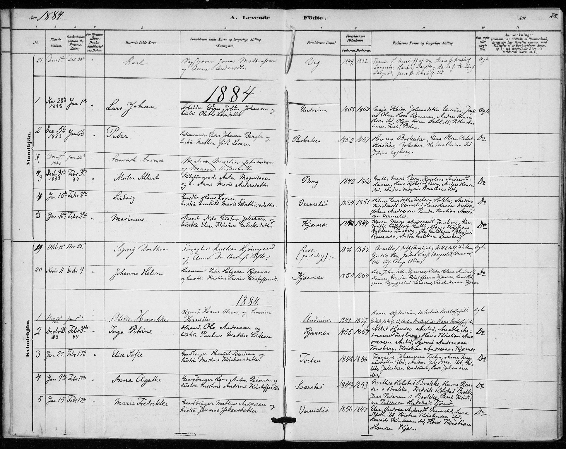 Sem kirkebøker, AV/SAKO-A-5/F/Fa/L0010: Parish register (official) no. I 10, 1878-1887, p. 22