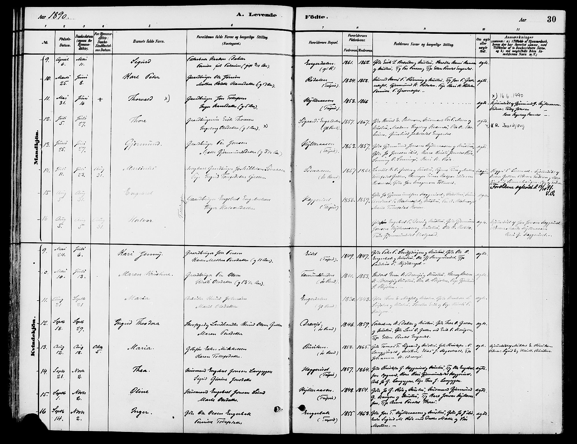 Engerdal prestekontor, AV/SAH-PREST-048/H/Ha/Haa/L0001: Parish register (official) no. 1, 1881-1898, p. 30