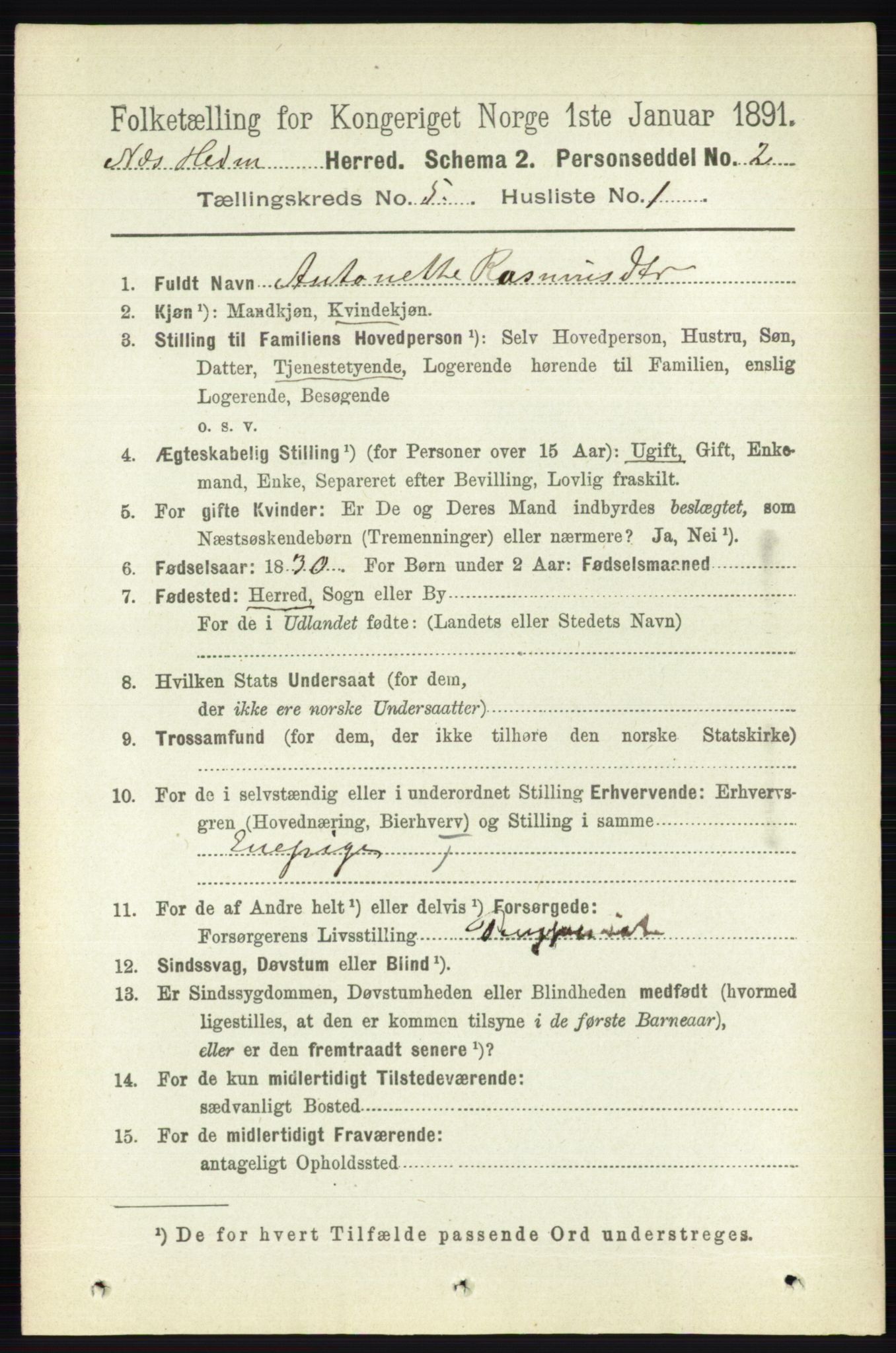 RA, 1891 census for 0411 Nes, 1891, p. 2611