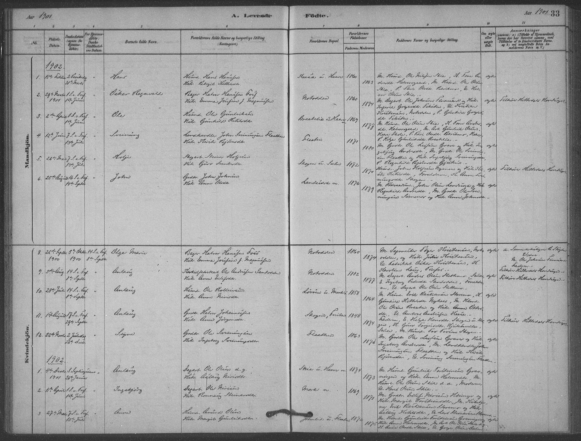 Heddal kirkebøker, SAKO/A-268/F/Fb/L0002: Parish register (official) no. II 2, 1878-1913, p. 33