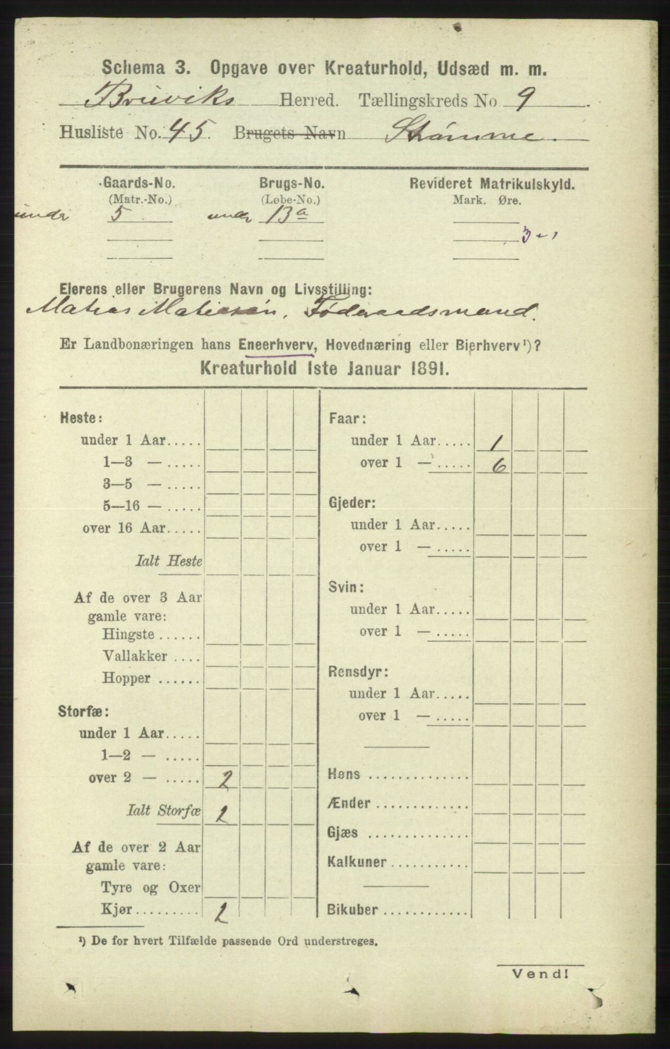 RA, 1891 census for 1251 Bruvik, 1891, p. 4889