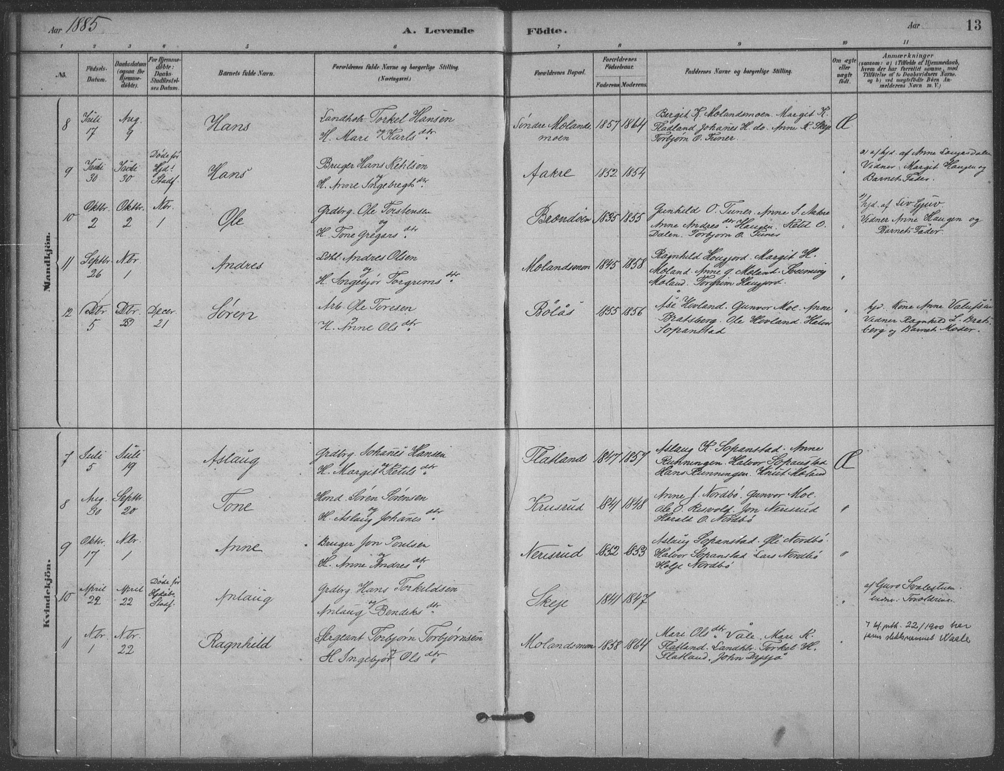 Hjartdal kirkebøker, SAKO/A-270/F/Fa/L0010: Parish register (official) no. I 10, 1880-1929, p. 13