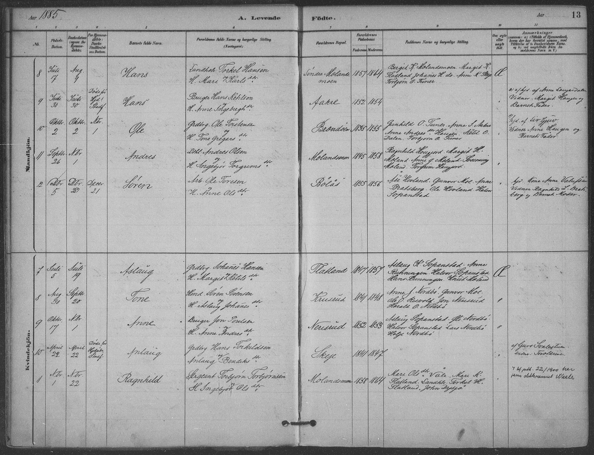 Hjartdal kirkebøker, AV/SAKO-A-270/F/Fa/L0010: Parish register (official) no. I 10, 1880-1929, p. 13