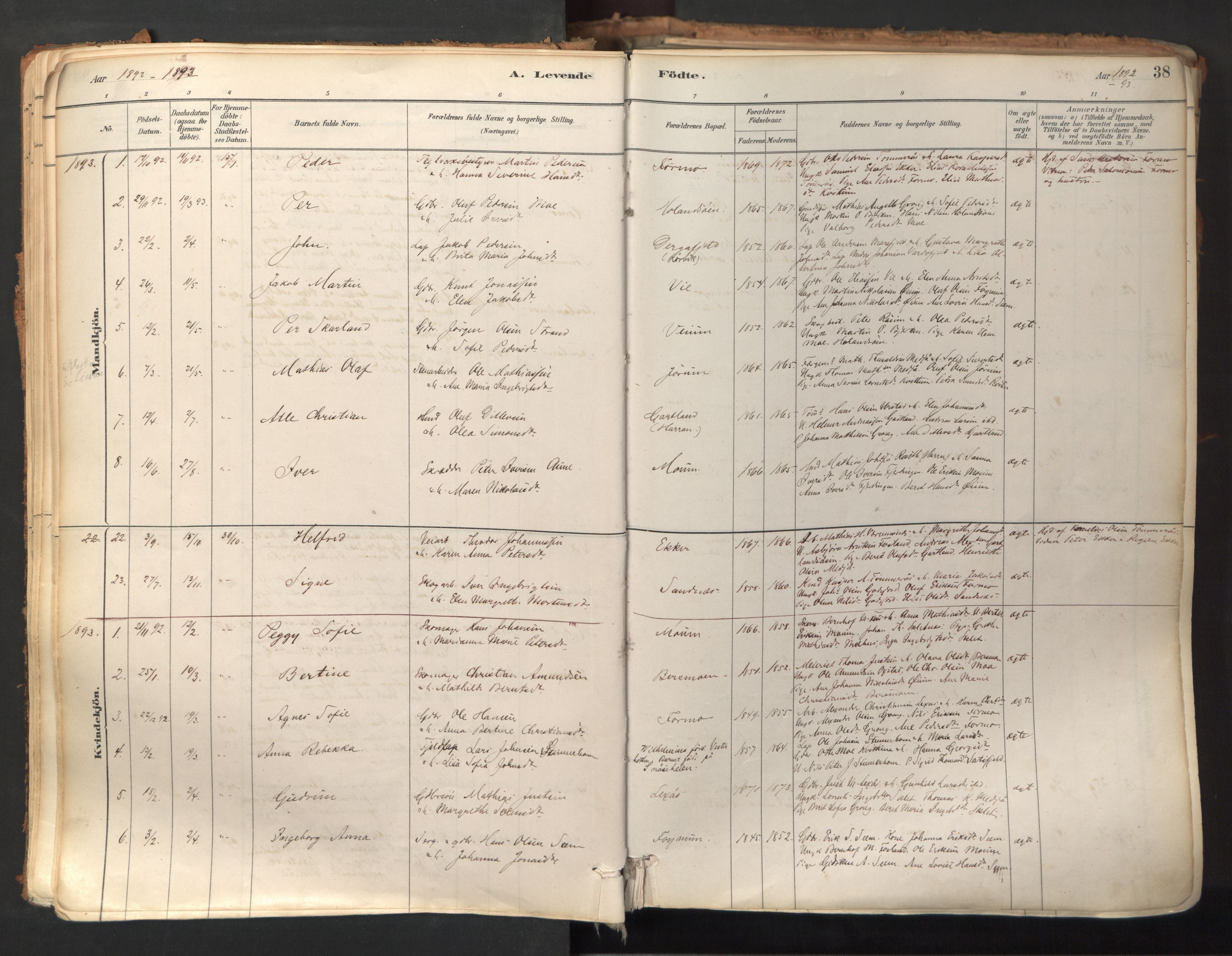 Ministerialprotokoller, klokkerbøker og fødselsregistre - Nord-Trøndelag, SAT/A-1458/758/L0519: Parish register (official) no. 758A04, 1880-1926, p. 38