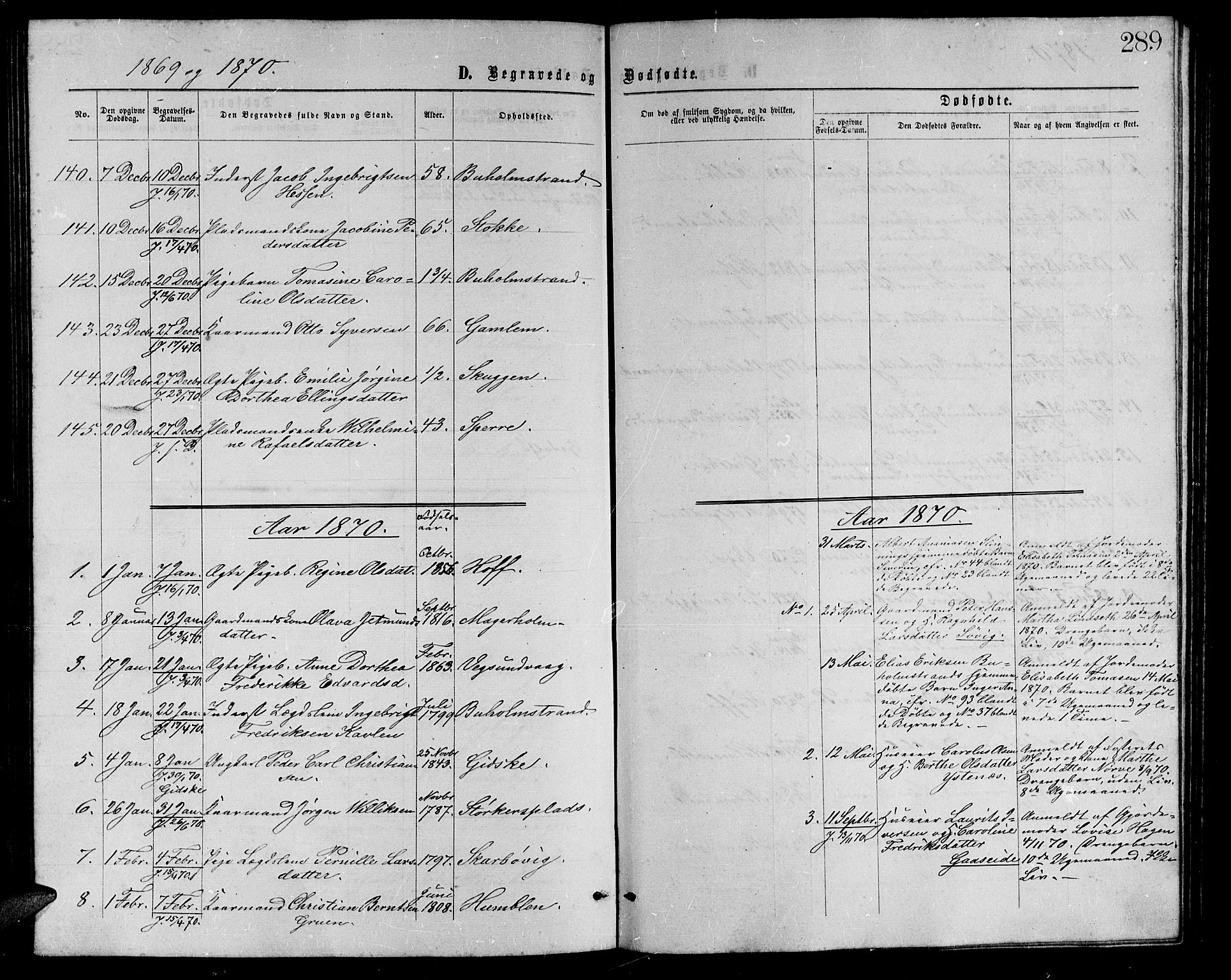 Ministerialprotokoller, klokkerbøker og fødselsregistre - Møre og Romsdal, AV/SAT-A-1454/528/L0428: Parish register (copy) no. 528C09, 1864-1880, p. 289