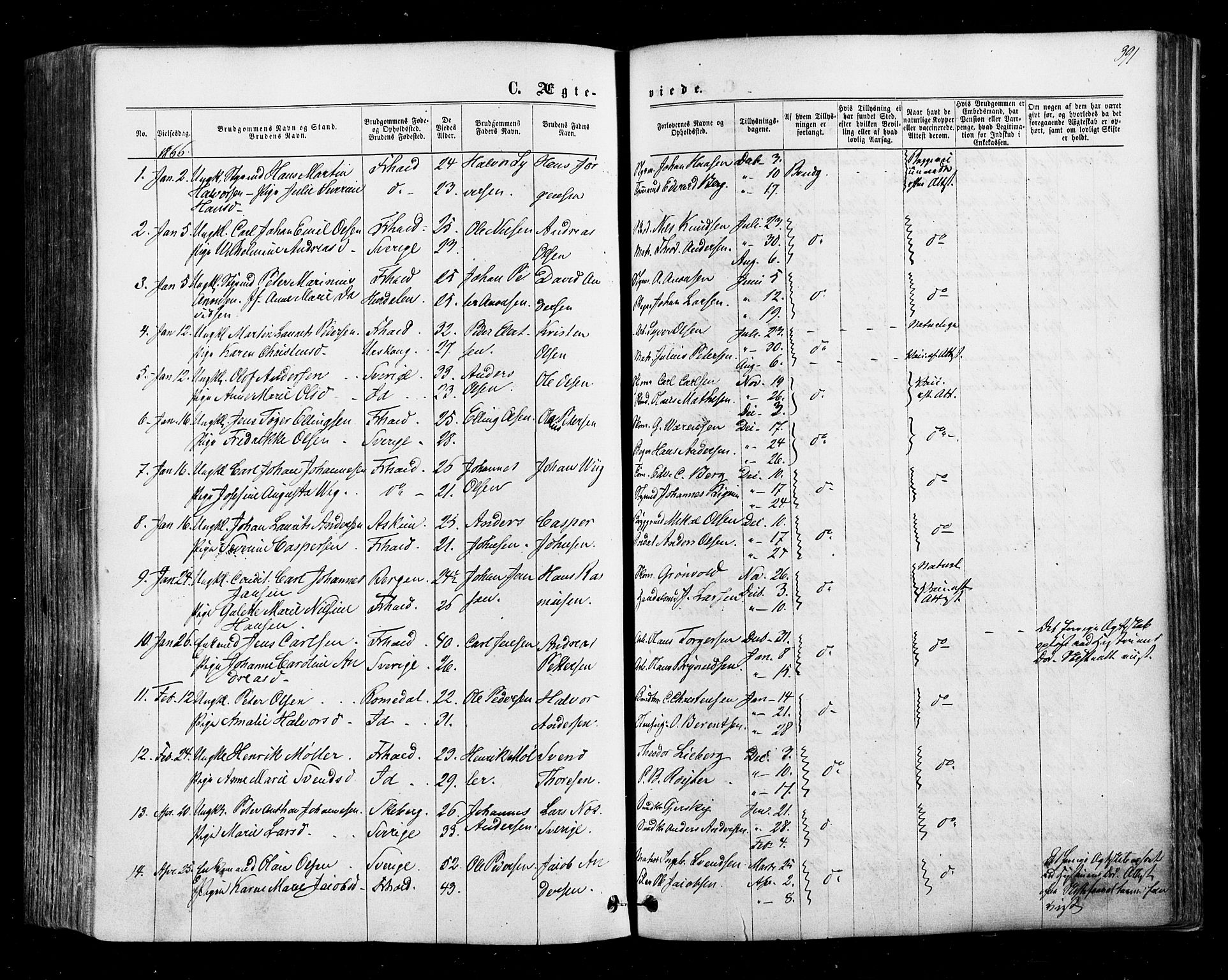 Halden prestekontor Kirkebøker, AV/SAO-A-10909/F/Fa/L0009: Parish register (official) no. I 9, 1866-1877, p. 391