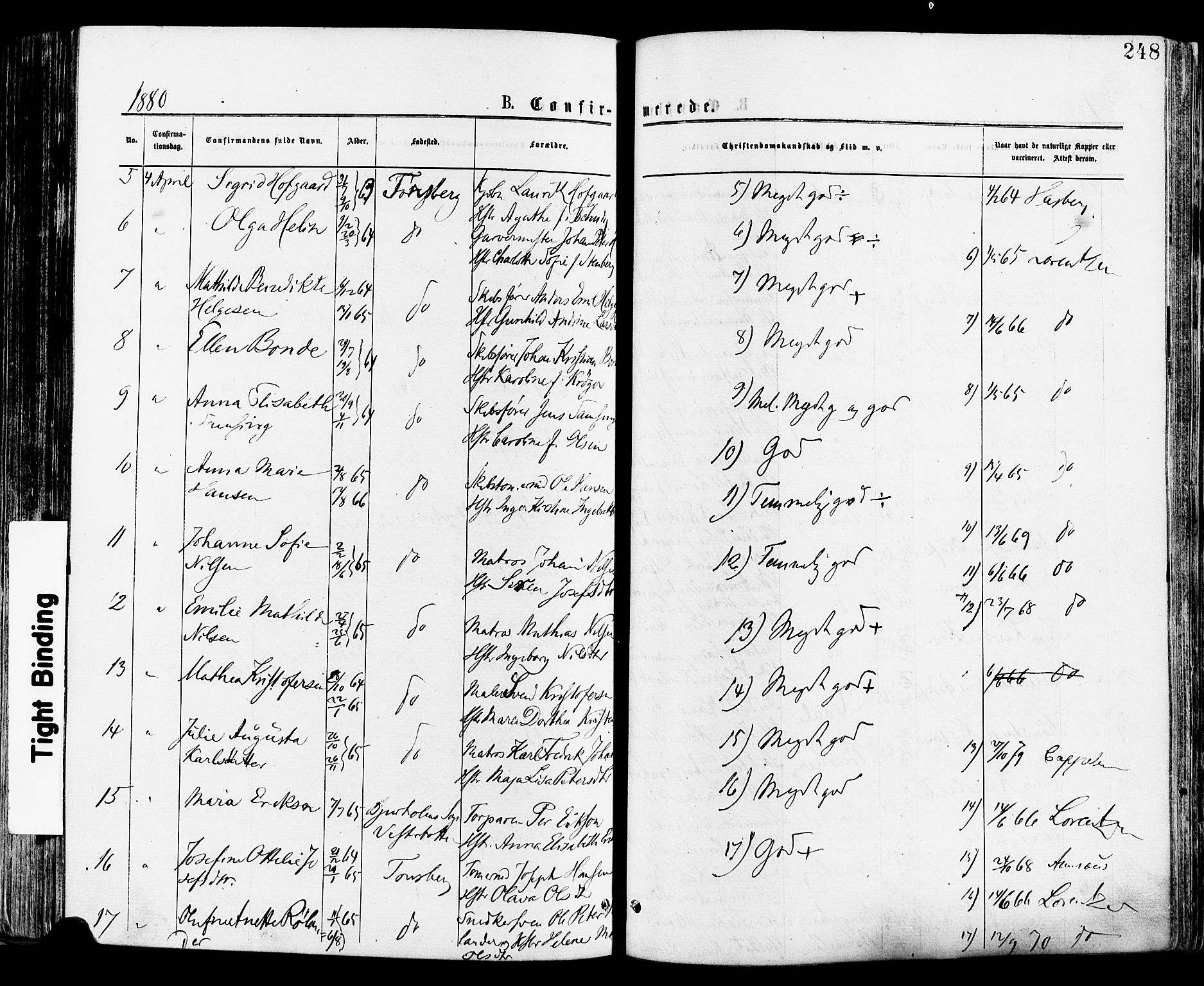 Tønsberg kirkebøker, AV/SAKO-A-330/F/Fa/L0010: Parish register (official) no. I 10, 1874-1880, p. 248