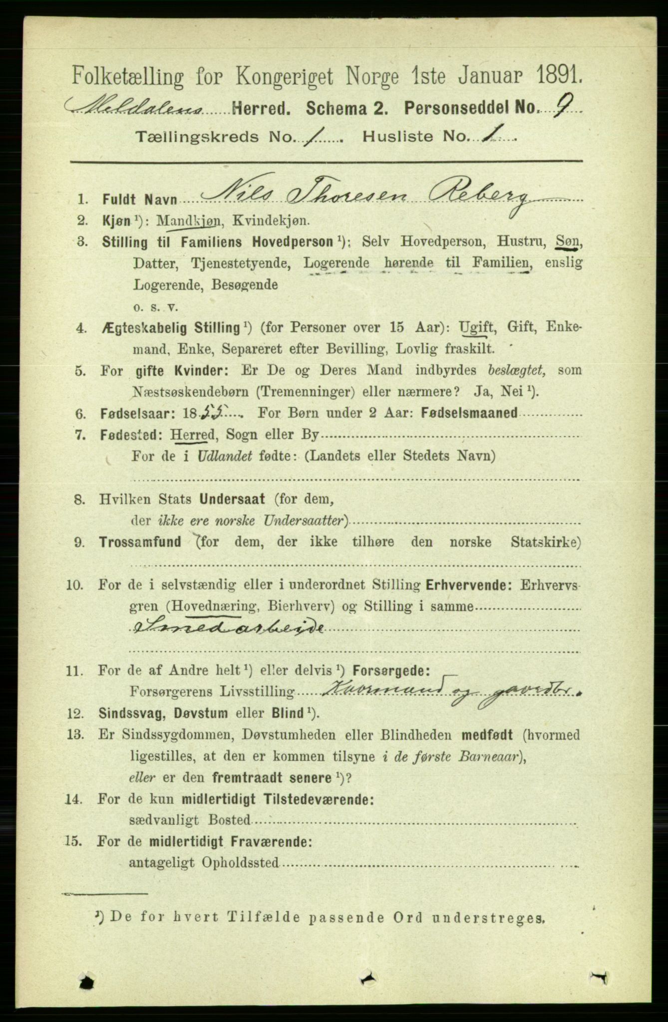 RA, 1891 census for 1636 Meldal, 1891, p. 163