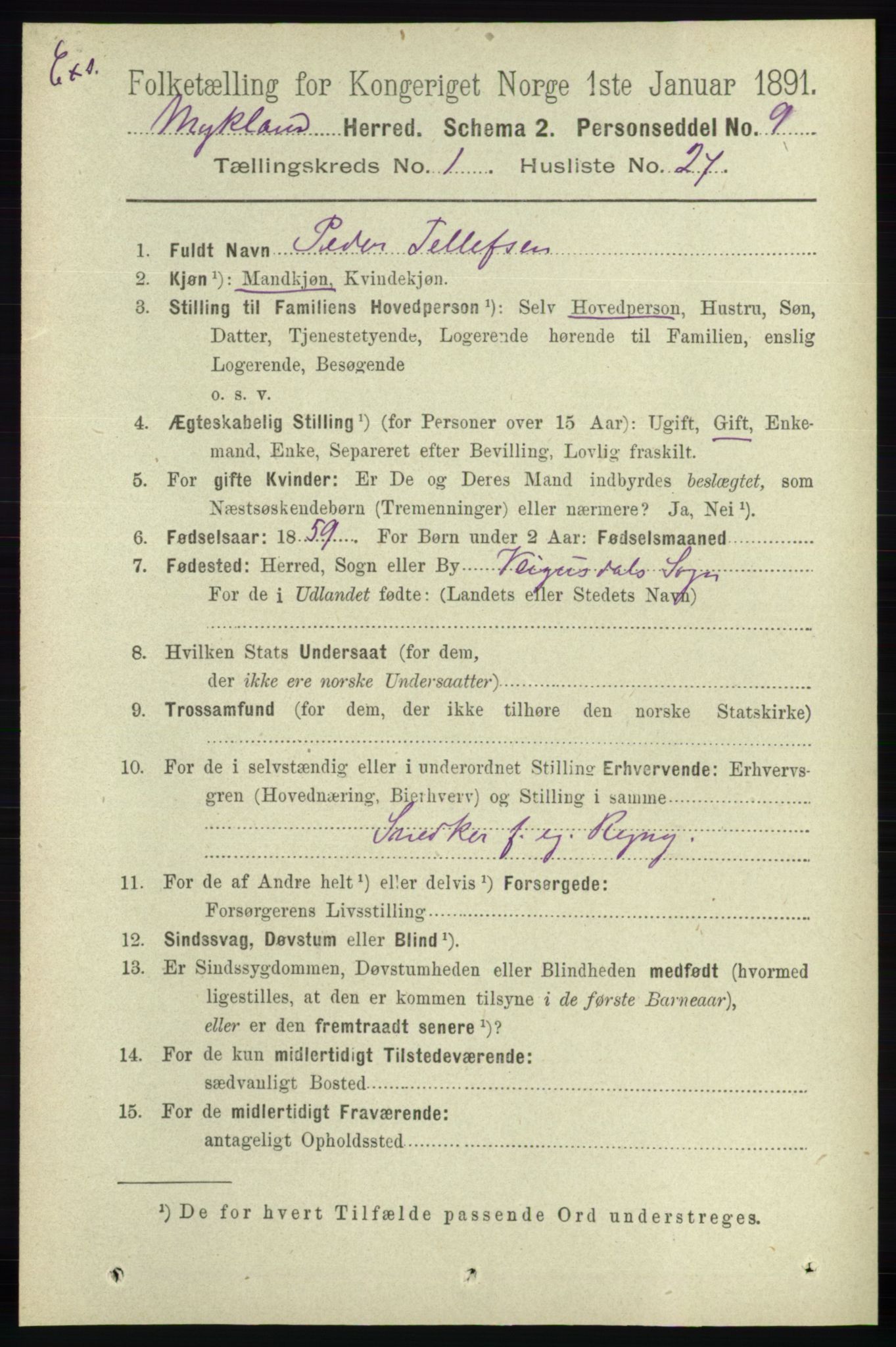 RA, Census 1891 for Nedenes amt: Gjenparter av personsedler for beslektede ektefeller, menn, 1891, p. 399