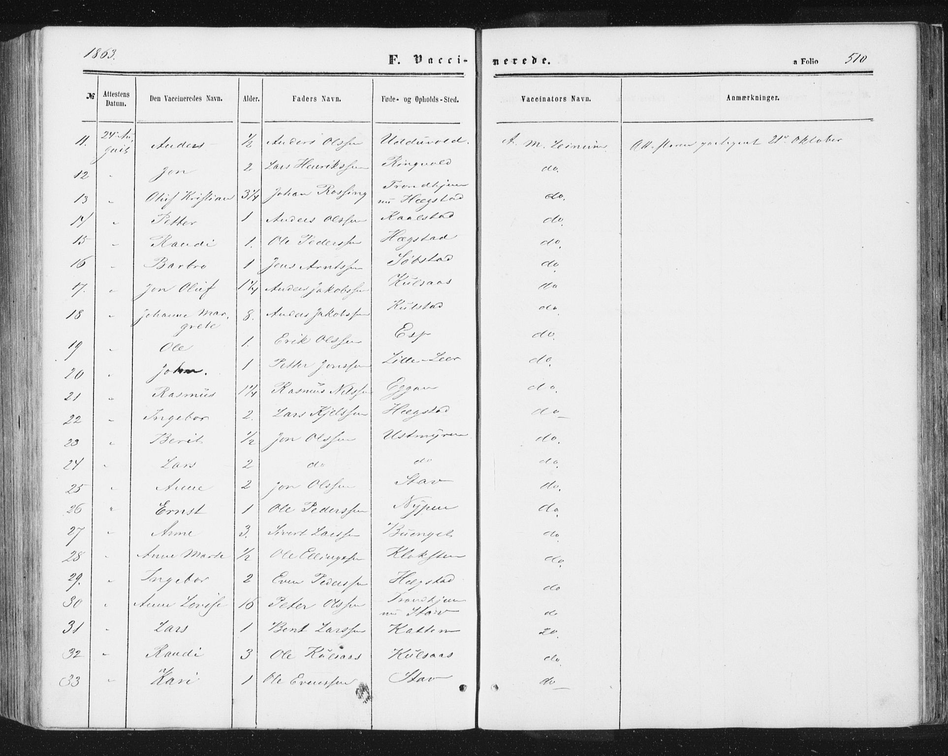 Ministerialprotokoller, klokkerbøker og fødselsregistre - Sør-Trøndelag, SAT/A-1456/691/L1077: Parish register (official) no. 691A09, 1862-1873, p. 510