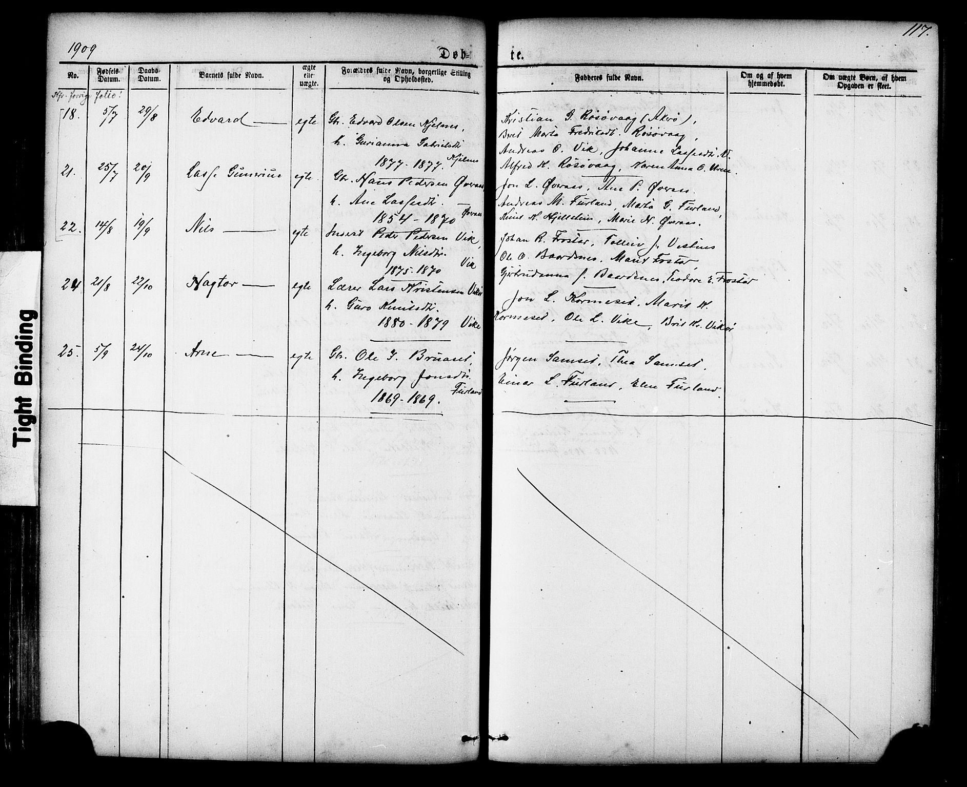 Ministerialprotokoller, klokkerbøker og fødselsregistre - Møre og Romsdal, AV/SAT-A-1454/539/L0536: Parish register (copy) no. 539C02, 1867-1913, p. 117