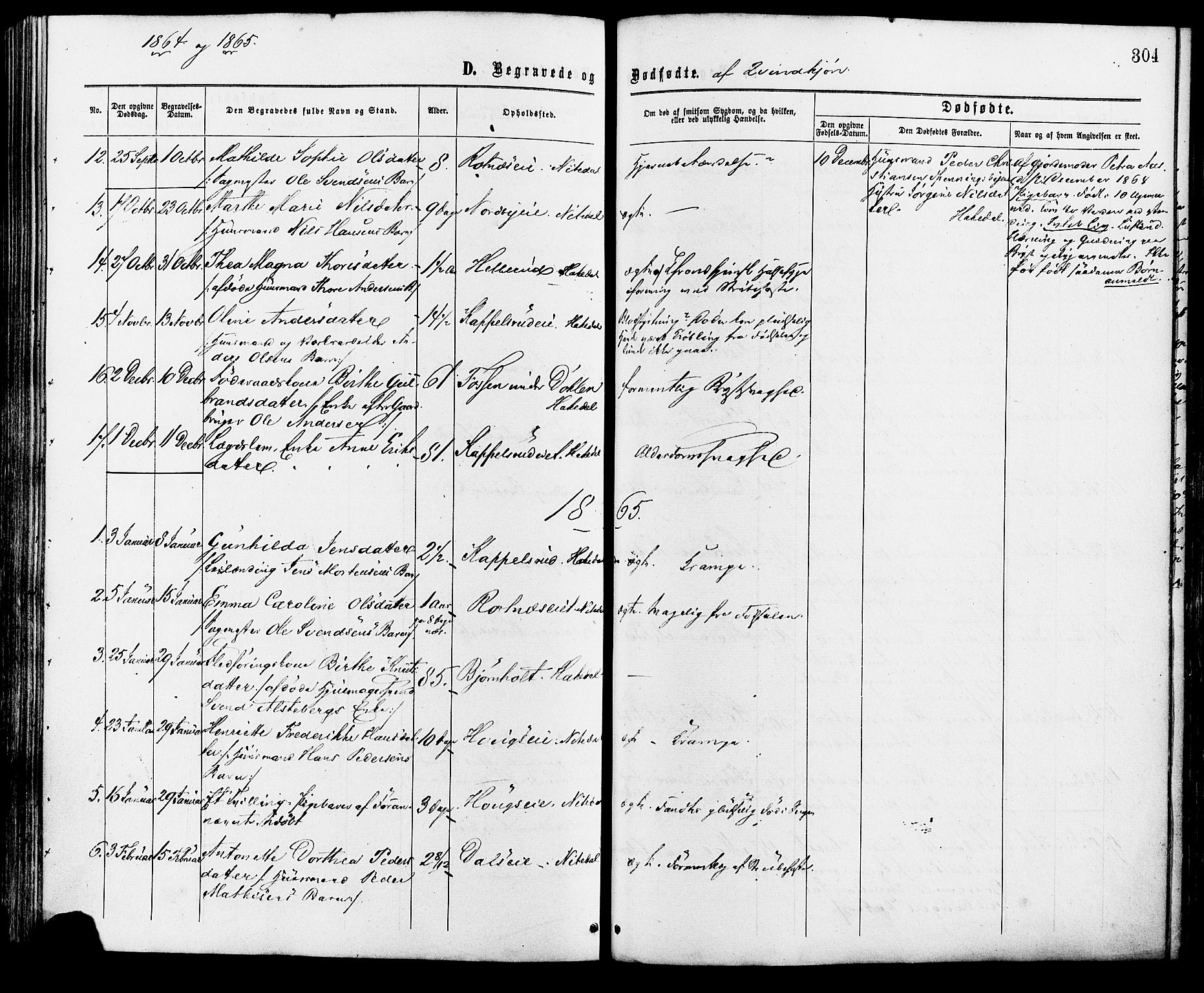 Nittedal prestekontor Kirkebøker, AV/SAO-A-10365a/F/Fa/L0006: Parish register (official) no. I 6, 1863-1878, p. 304