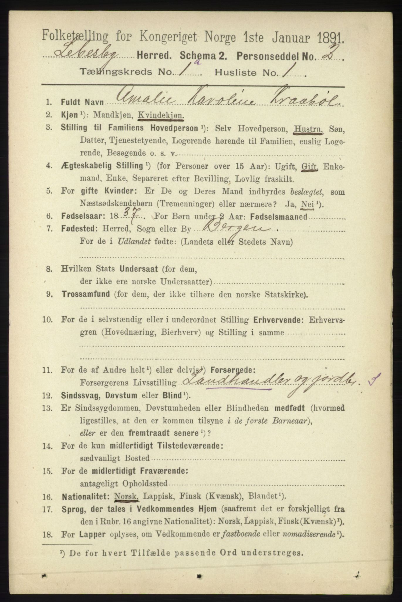 RA, 1891 census for 2022 Lebesby, 1891, p. 31