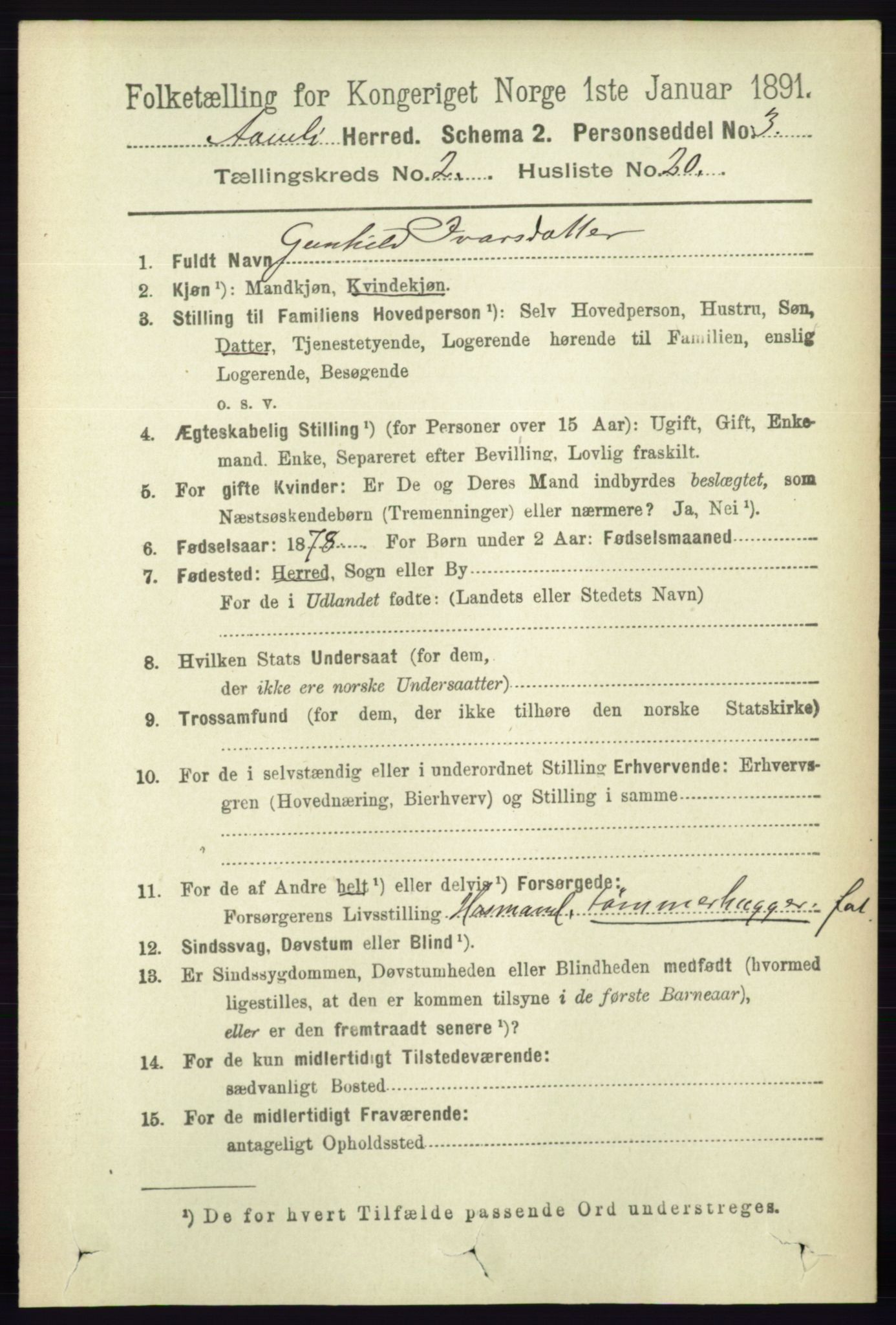 RA, 1891 census for 0929 Åmli, 1891, p. 291