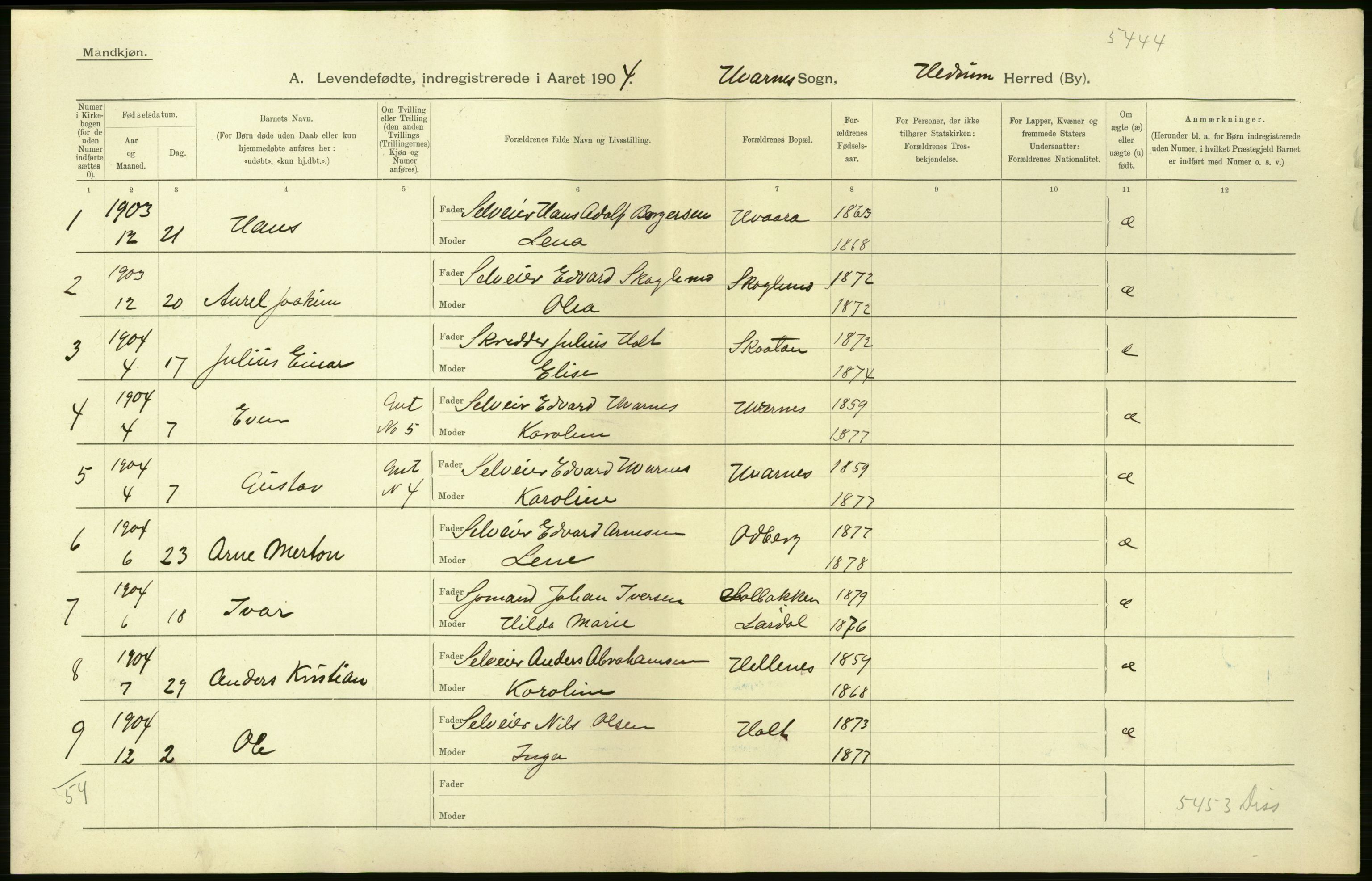 Statistisk sentralbyrå, Sosiodemografiske emner, Befolkning, AV/RA-S-2228/D/Df/Dfa/Dfab/L0008: Jarlsberg og Larvig amt: Fødte, gifte, døde, 1904, p. 24