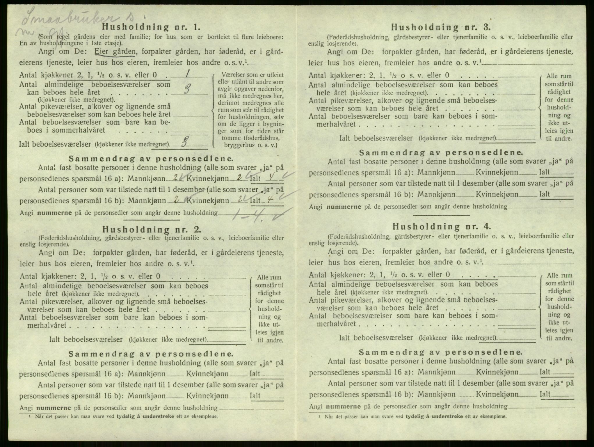 SAKO, 1920 census for Strømm, 1920, p. 146