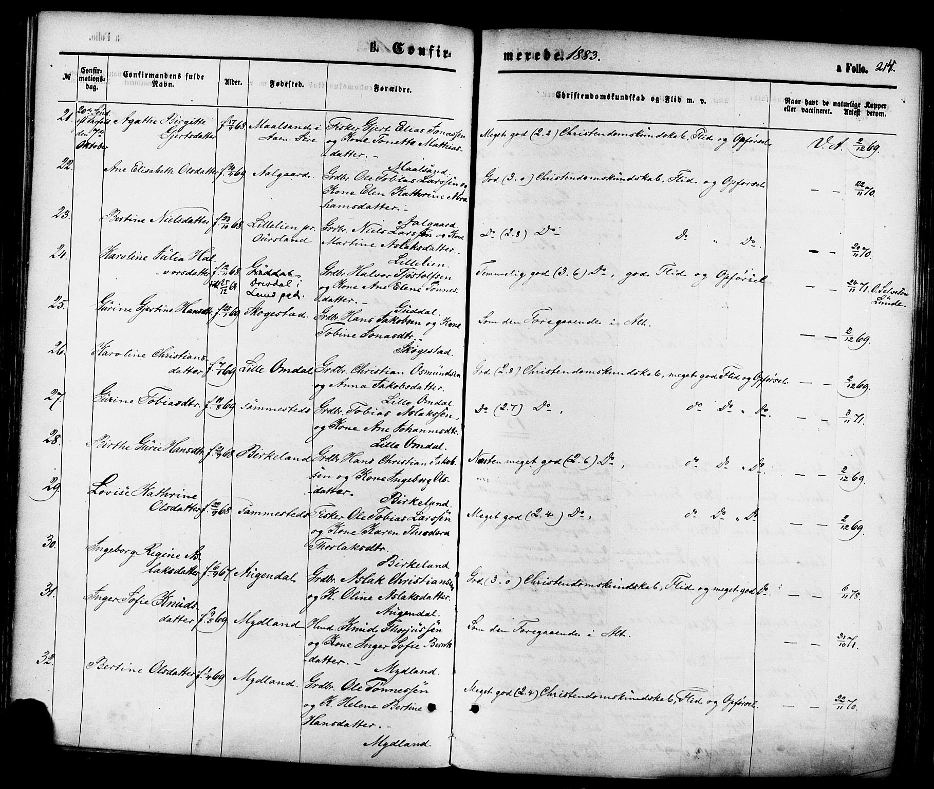 Sokndal sokneprestkontor, AV/SAST-A-101808: Parish register (official) no. A 10, 1874-1886, p. 214