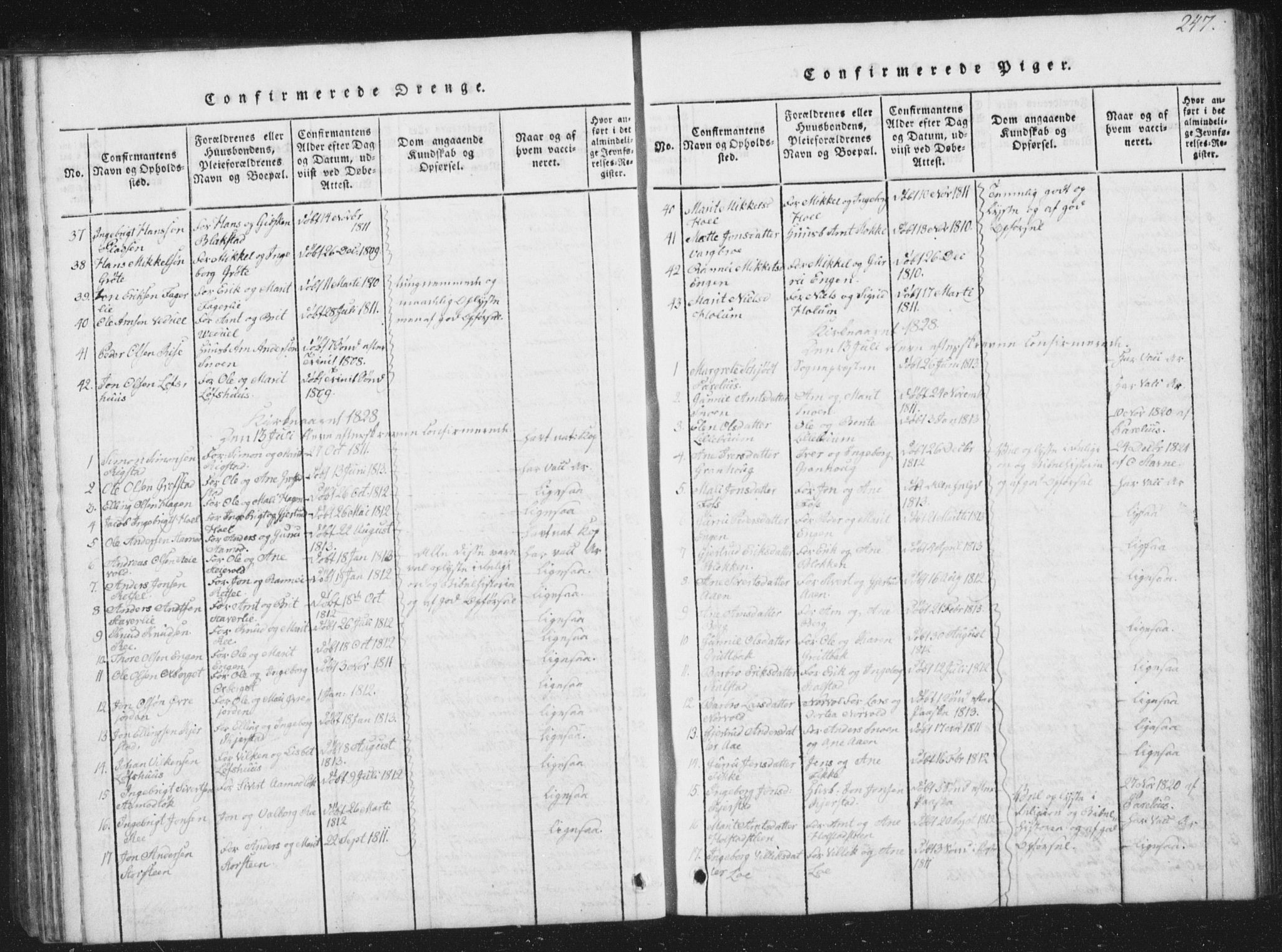 Ministerialprotokoller, klokkerbøker og fødselsregistre - Sør-Trøndelag, SAT/A-1456/672/L0862: Parish register (copy) no. 672C01, 1816-1831, p. 247