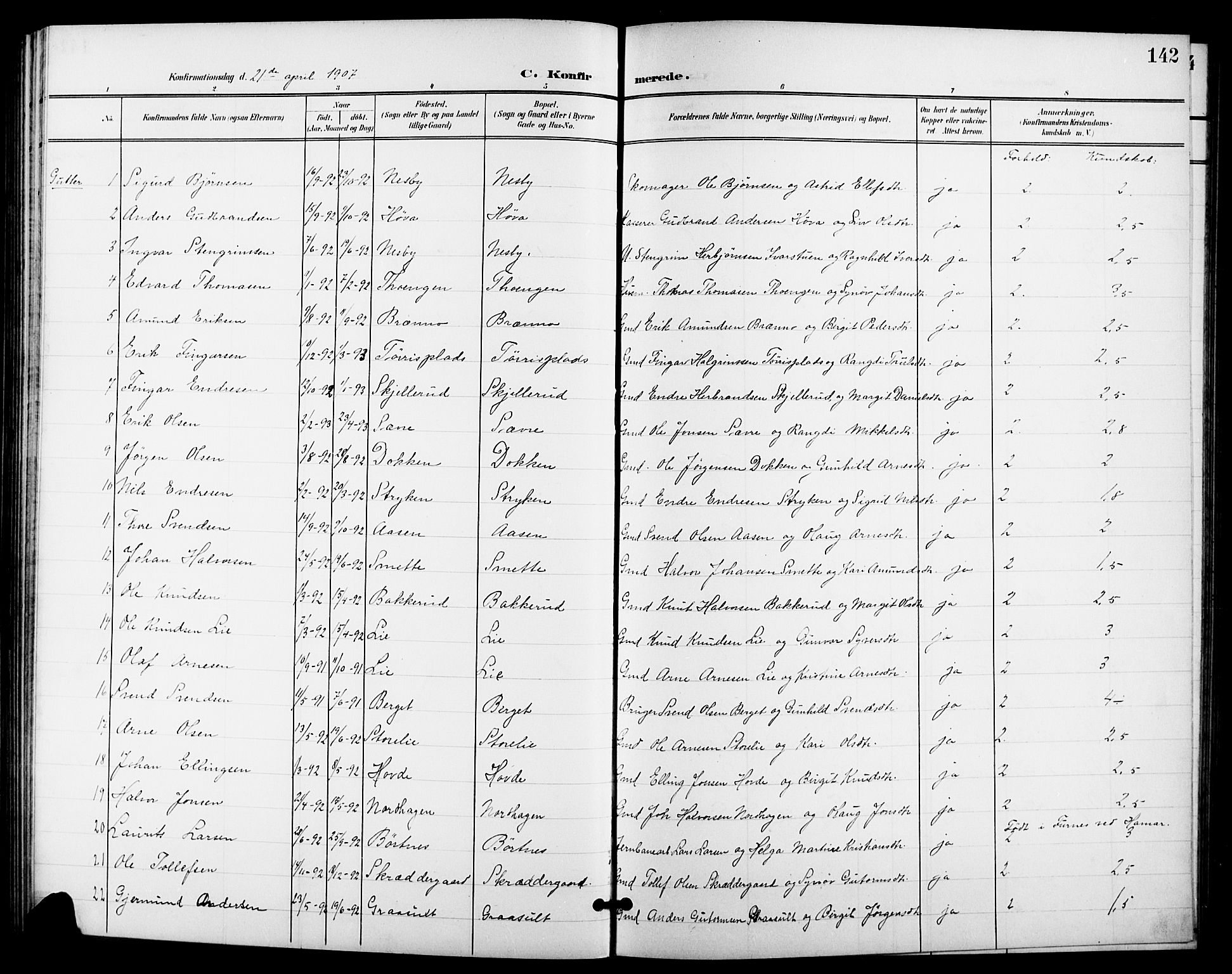 Nes kirkebøker, SAKO/A-236/G/Ga/L0004: Parish register (copy) no. I 4, 1900-1925, p. 142