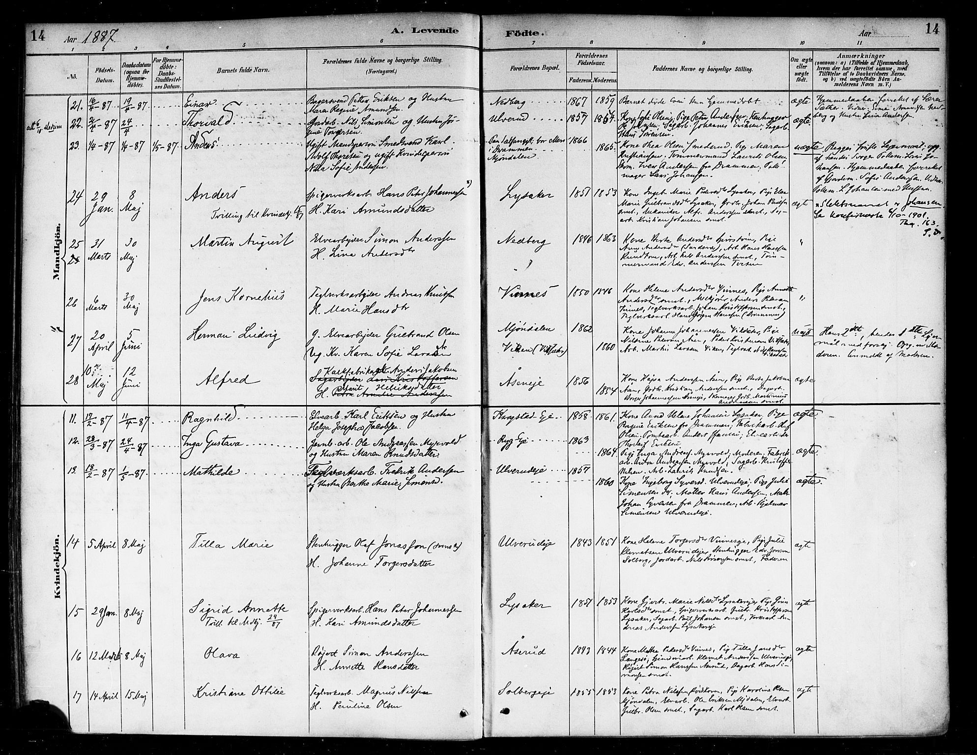 Nedre Eiker kirkebøker, SAKO/A-612/F/Fa/L0003: Parish register (official) no. 3, 1885-1892, p. 14