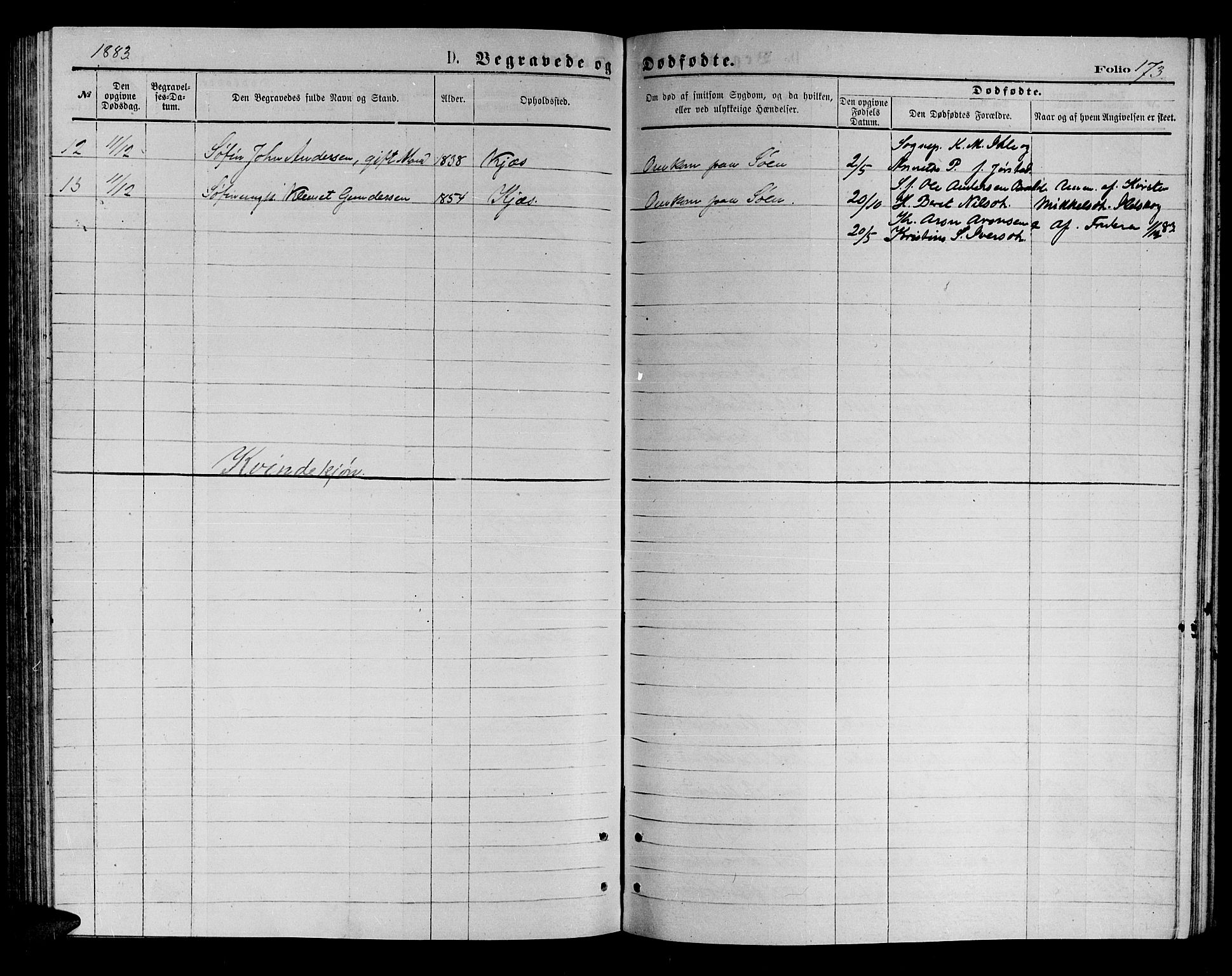 Kistrand/Porsanger sokneprestembete, AV/SATØ-S-1351/H/Hb/L0003.klokk: Parish register (copy) no. 3, 1874-1885, p. 173