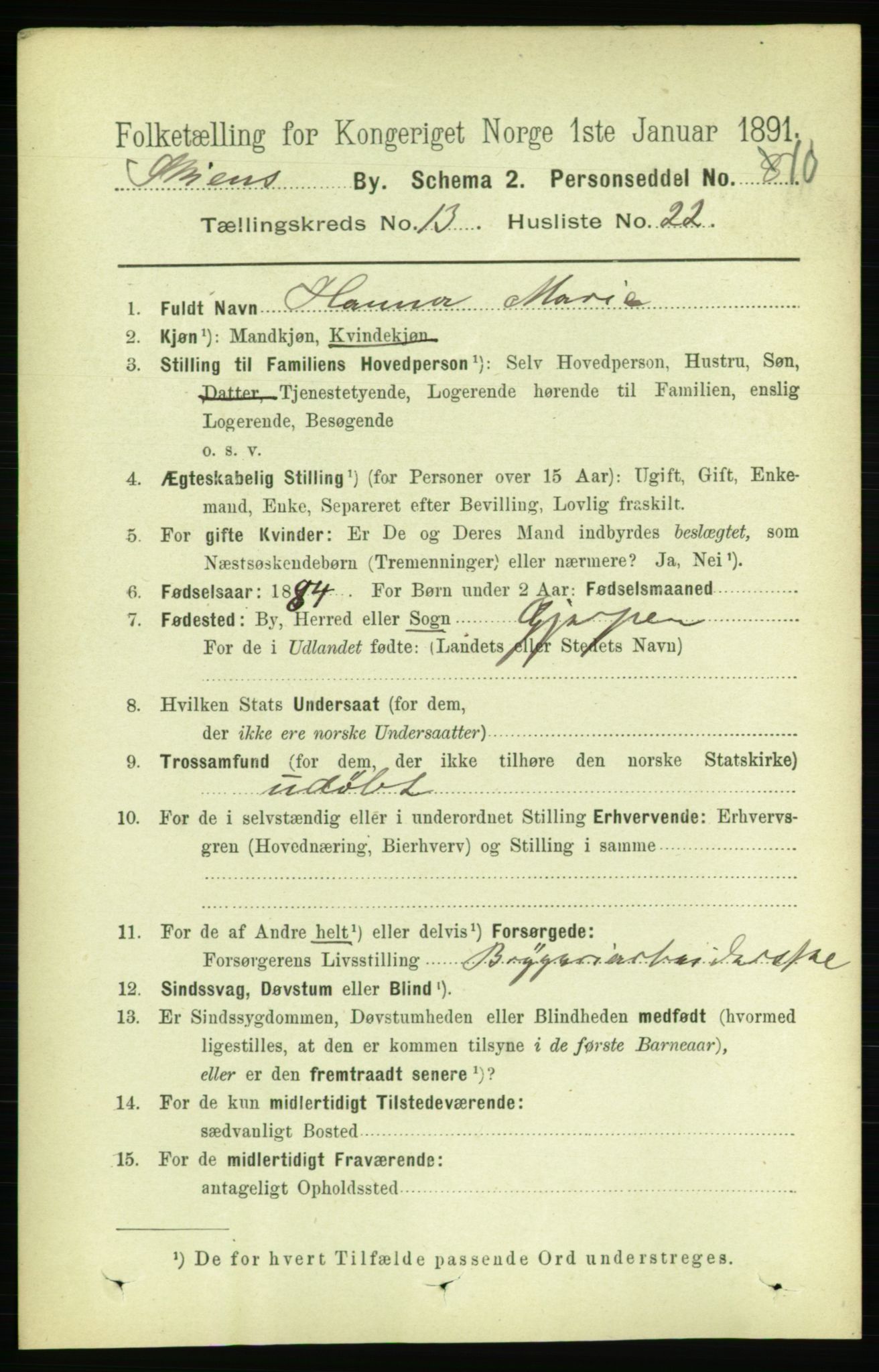 RA, 1891 census for 0806 Skien, 1891, p. 4259