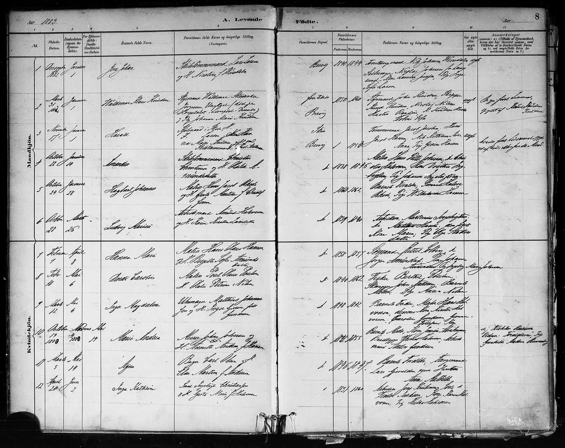Brevik kirkebøker, SAKO/A-255/F/Fa/L0007: Parish register (official) no. 7, 1882-1900, p. 8