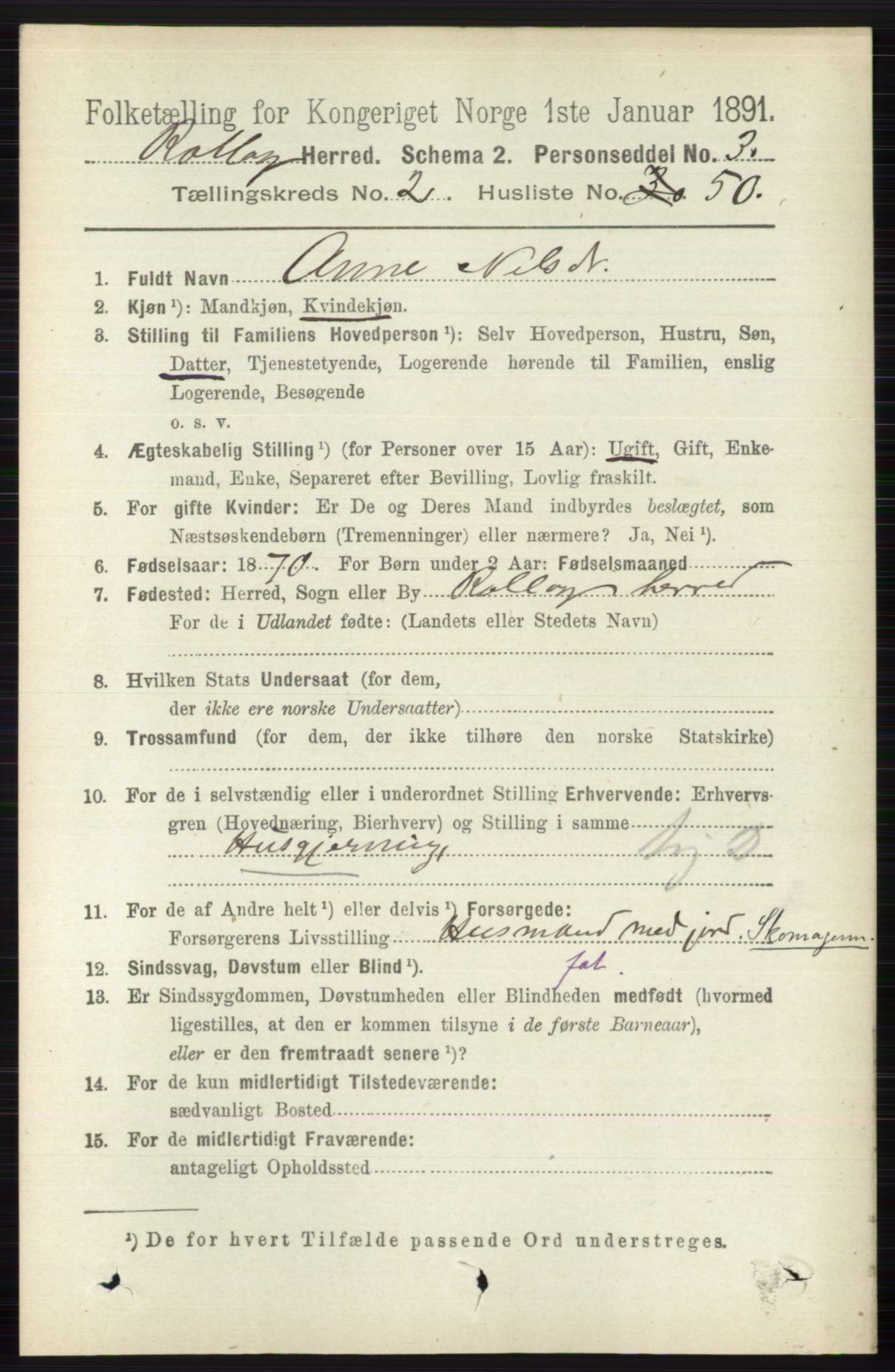 RA, 1891 census for 0632 Rollag, 1891, p. 740