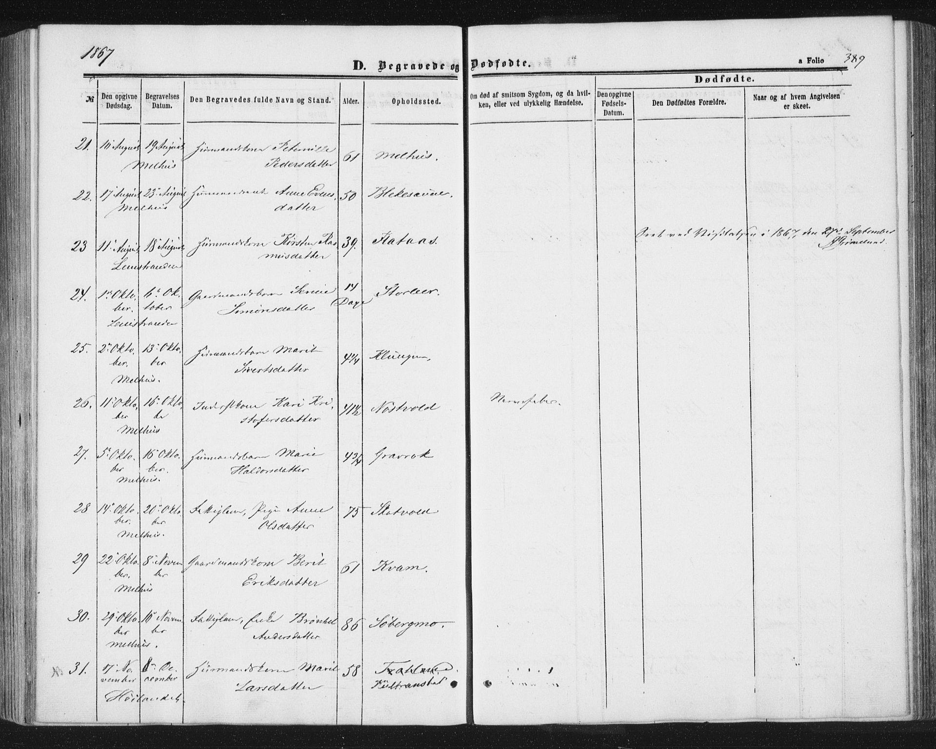 Ministerialprotokoller, klokkerbøker og fødselsregistre - Sør-Trøndelag, SAT/A-1456/691/L1077: Parish register (official) no. 691A09, 1862-1873, p. 389