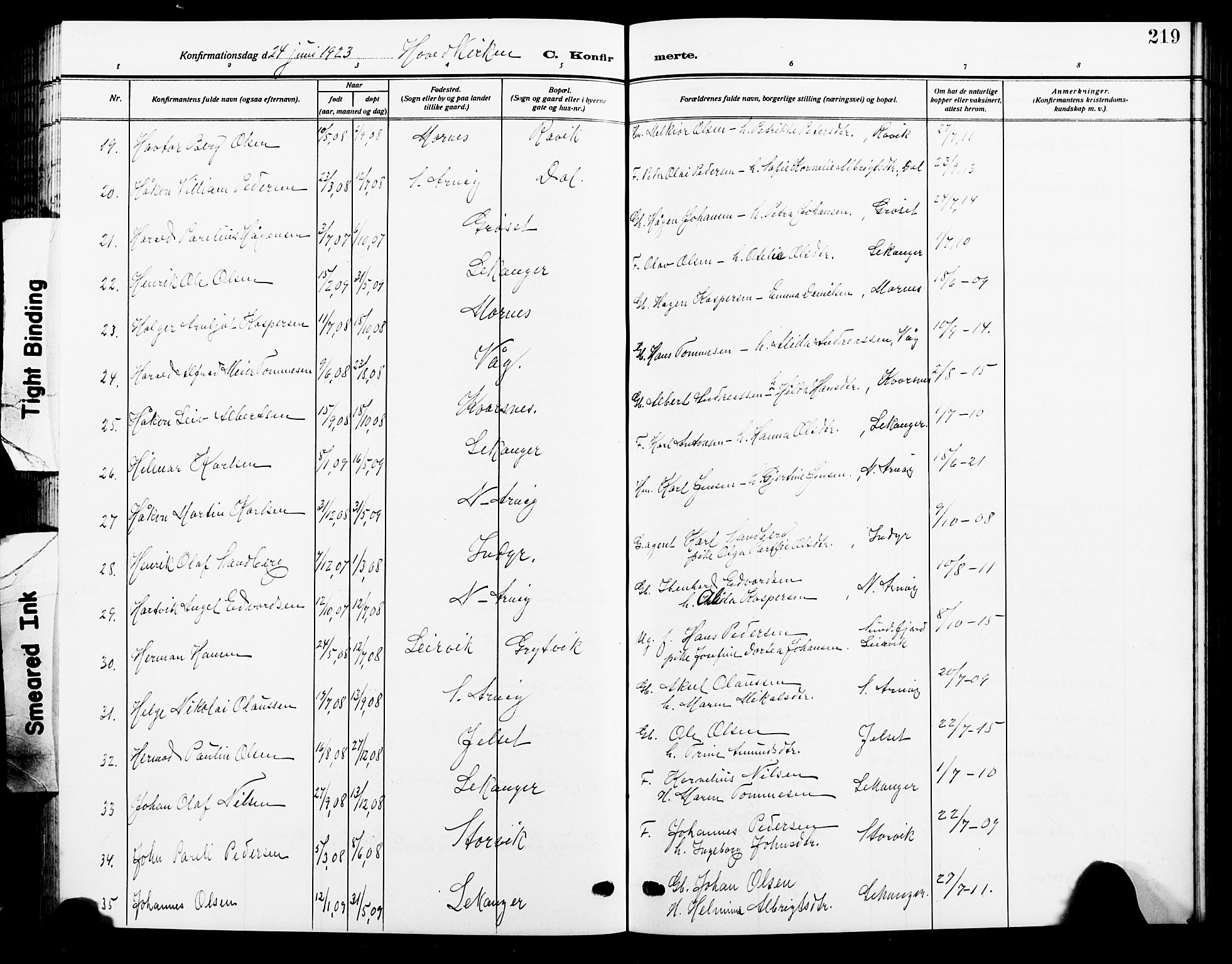 Ministerialprotokoller, klokkerbøker og fødselsregistre - Nordland, AV/SAT-A-1459/805/L0110: Parish register (copy) no. 805C06, 1909-1924, p. 219