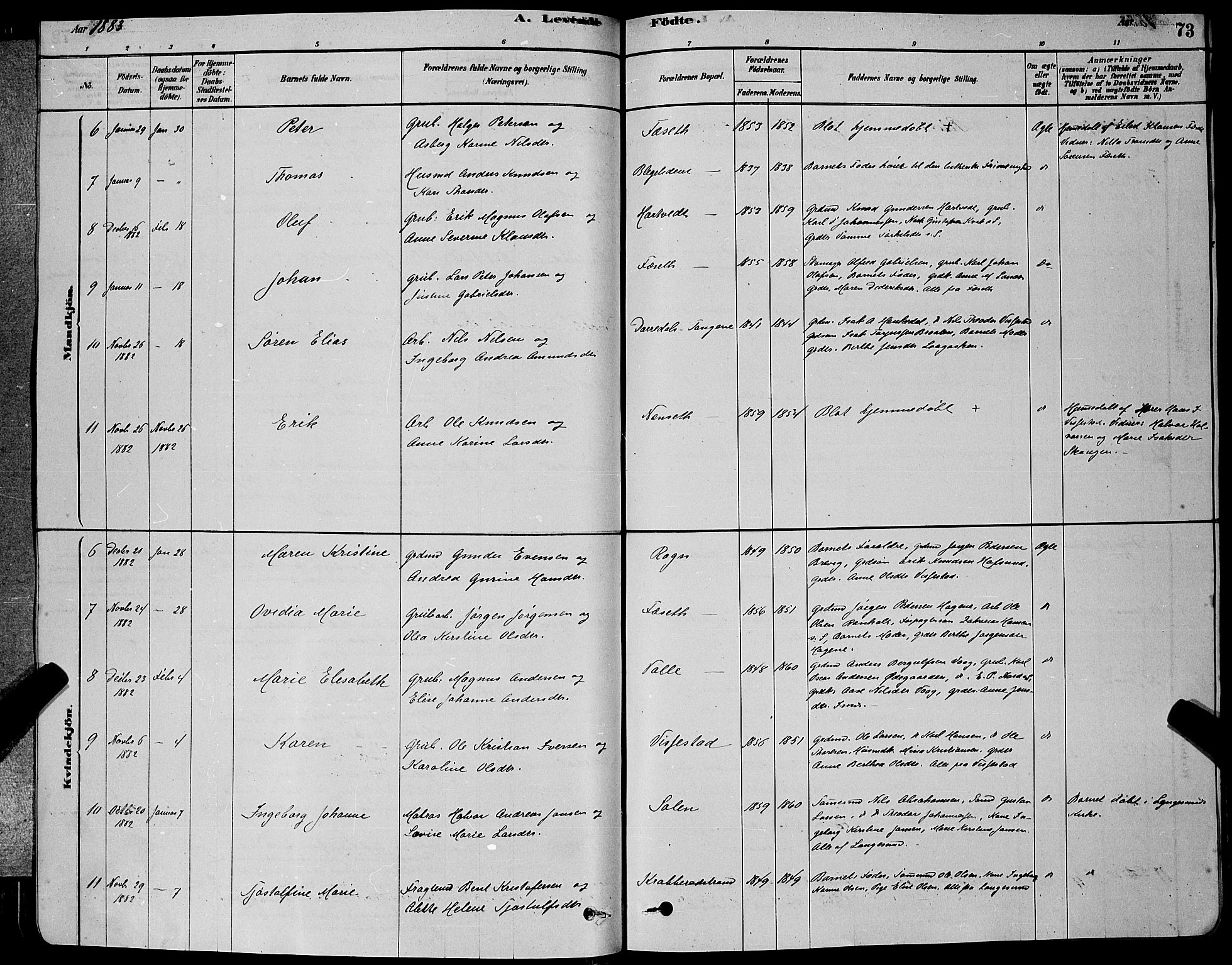 Bamble kirkebøker, SAKO/A-253/G/Ga/L0008: Parish register (copy) no. I 8, 1878-1888, p. 73