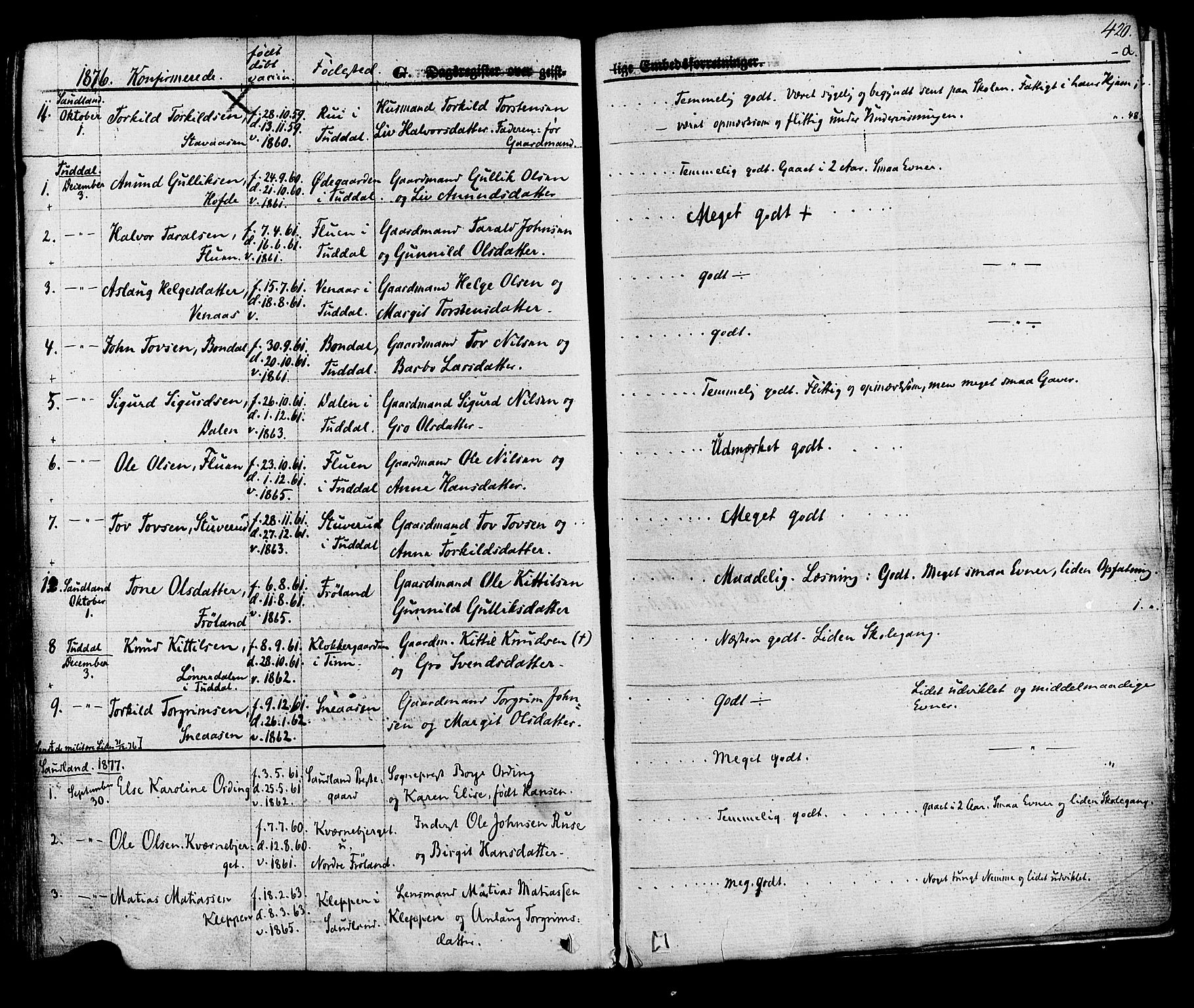 Hjartdal kirkebøker, SAKO/A-270/F/Fa/L0009: Parish register (official) no. I 9, 1860-1879, p. 420