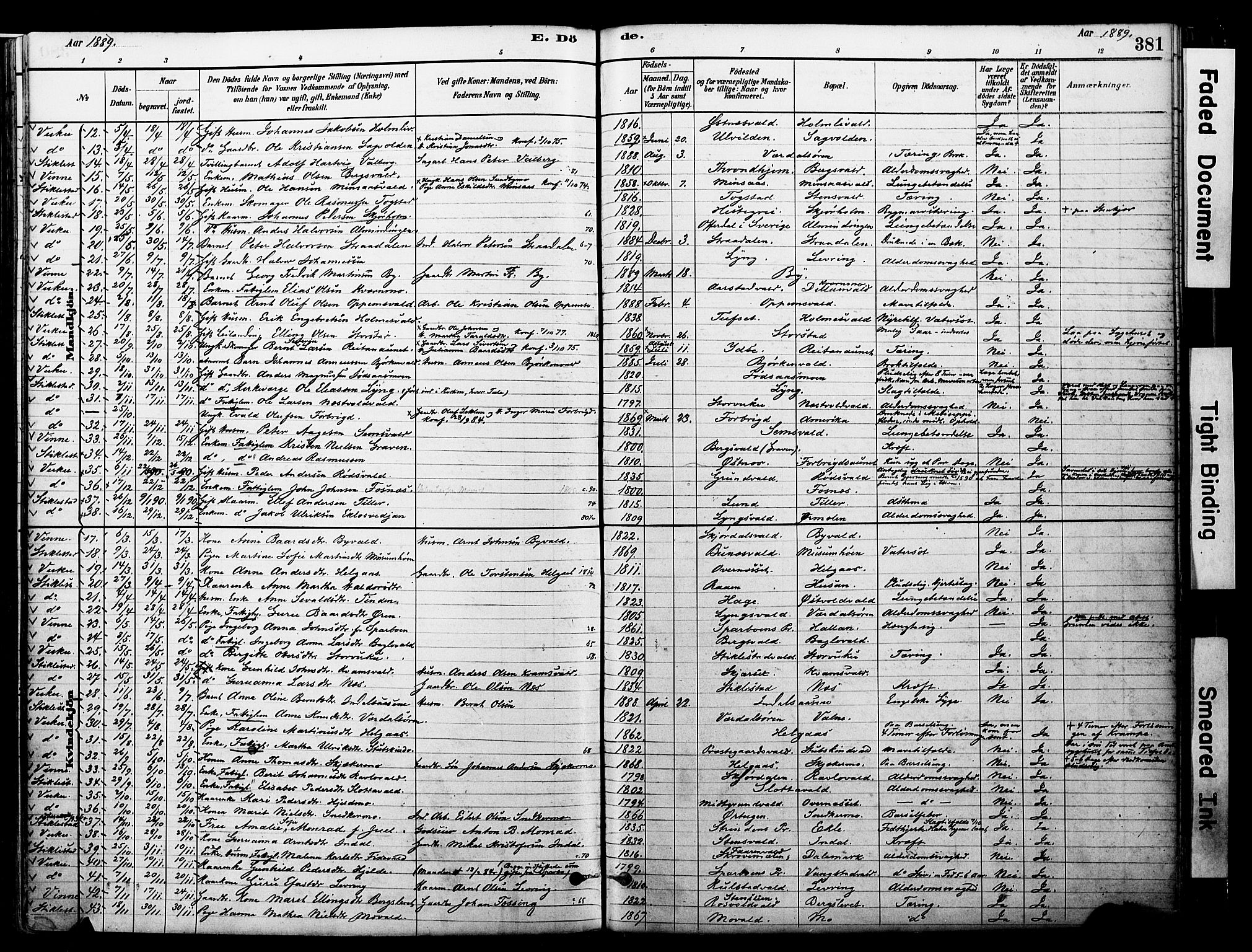 Ministerialprotokoller, klokkerbøker og fødselsregistre - Nord-Trøndelag, SAT/A-1458/723/L0244: Parish register (official) no. 723A13, 1881-1899, p. 381