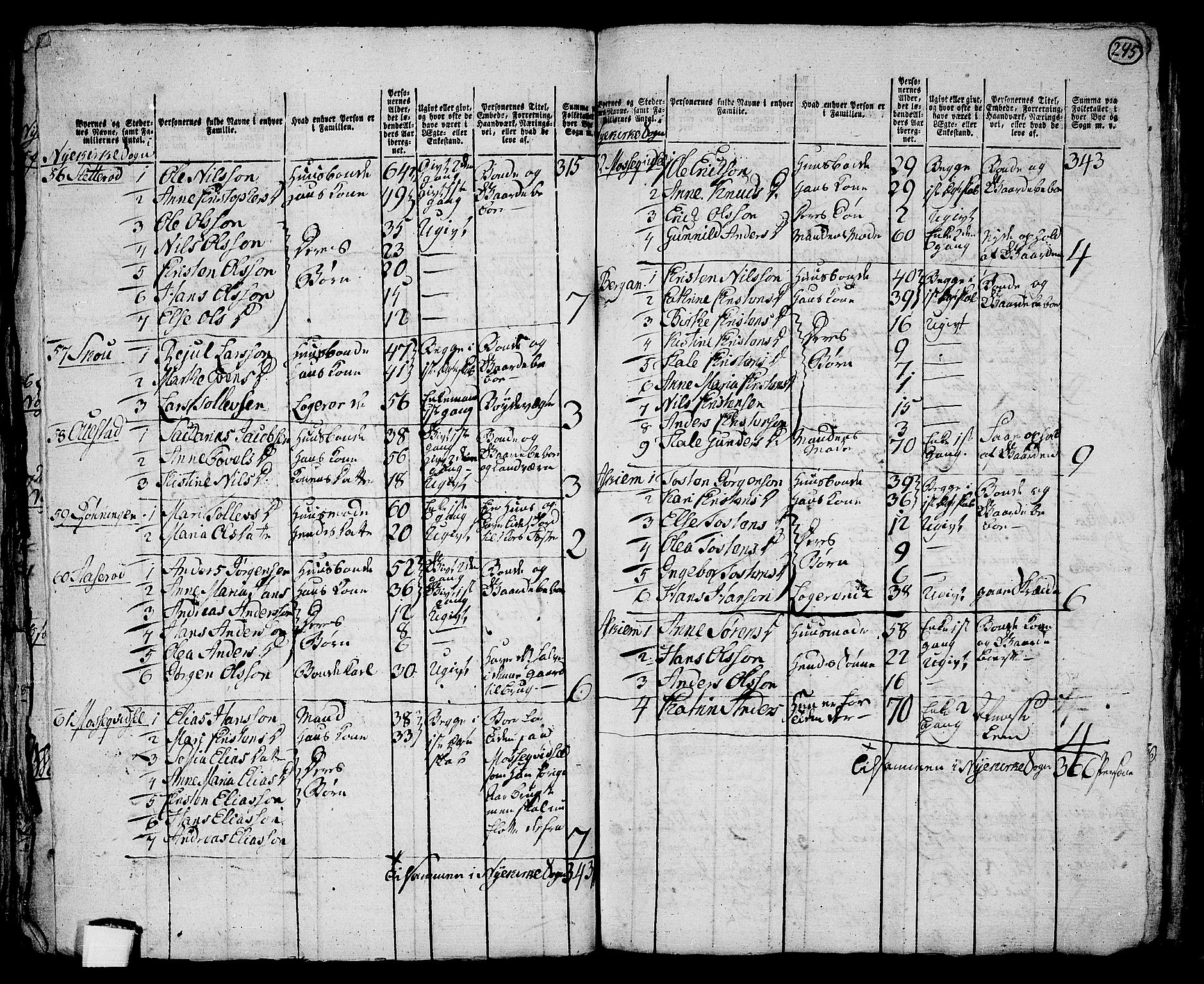 RA, 1801 census for 0717P Borre, 1801, p. 244b-245a