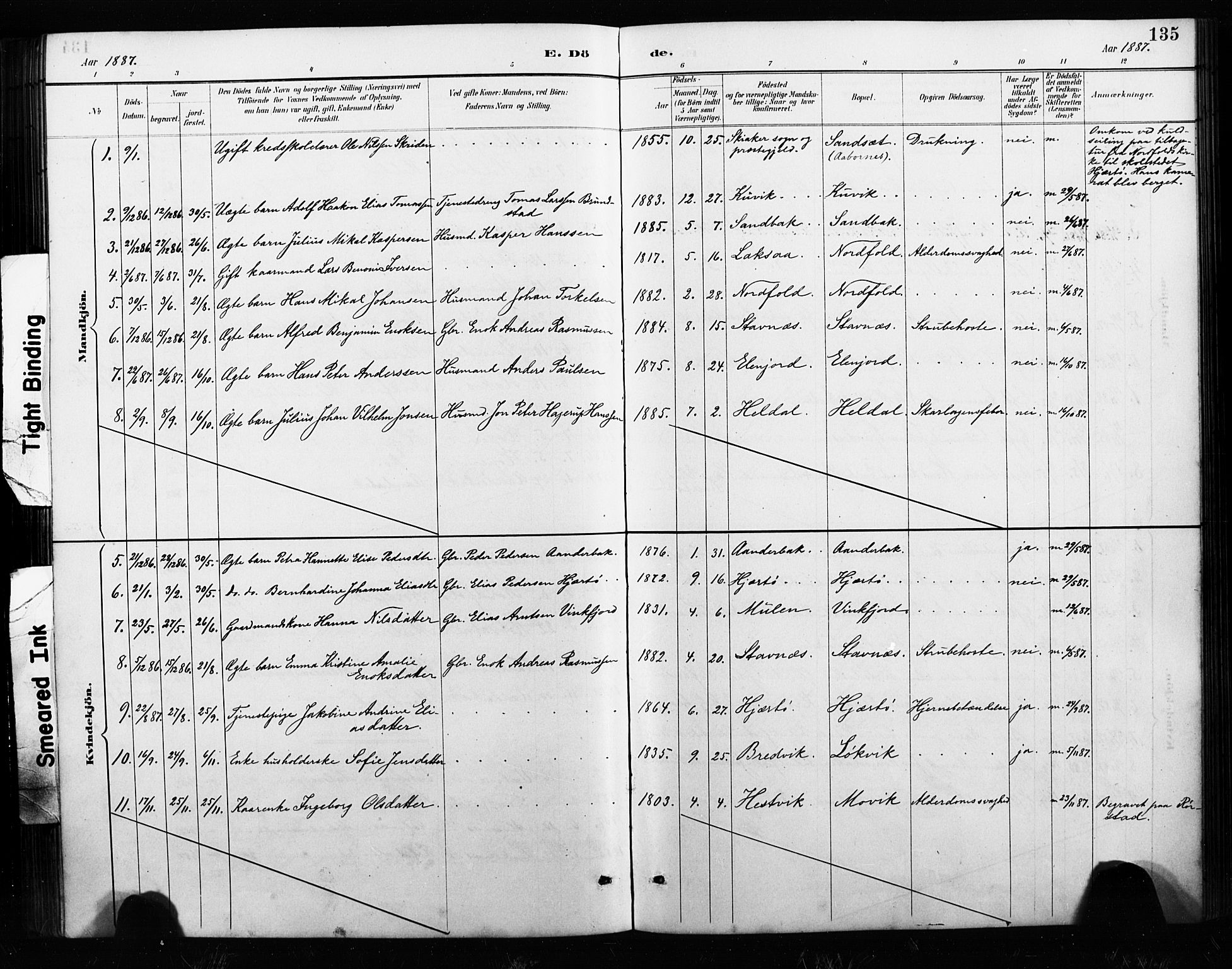 Ministerialprotokoller, klokkerbøker og fødselsregistre - Nordland, AV/SAT-A-1459/858/L0834: Parish register (copy) no. 858C01, 1884-1904, p. 135