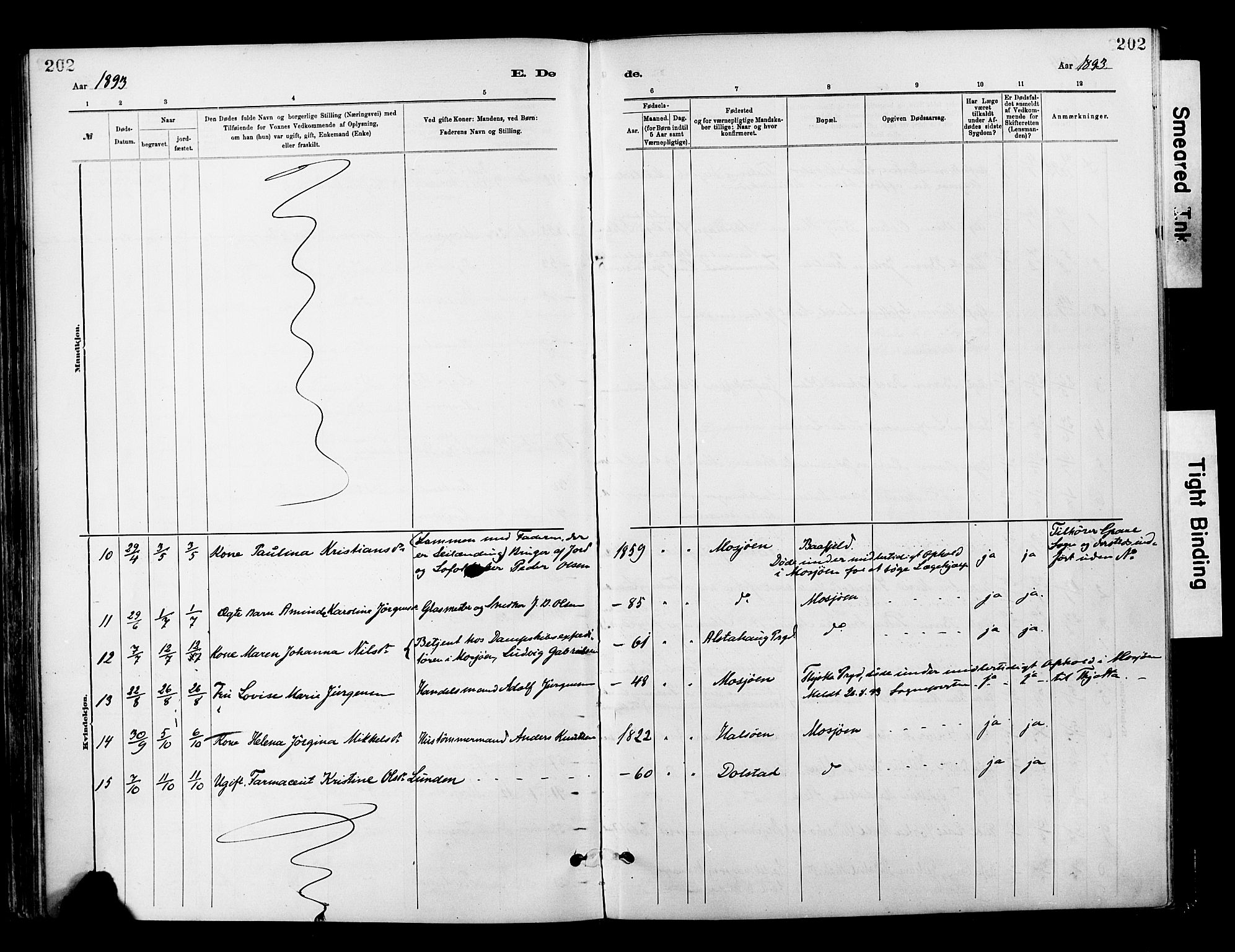 Ministerialprotokoller, klokkerbøker og fødselsregistre - Nordland, AV/SAT-A-1459/820/L0296: Parish register (official) no. 820A17, 1880-1903, p. 202