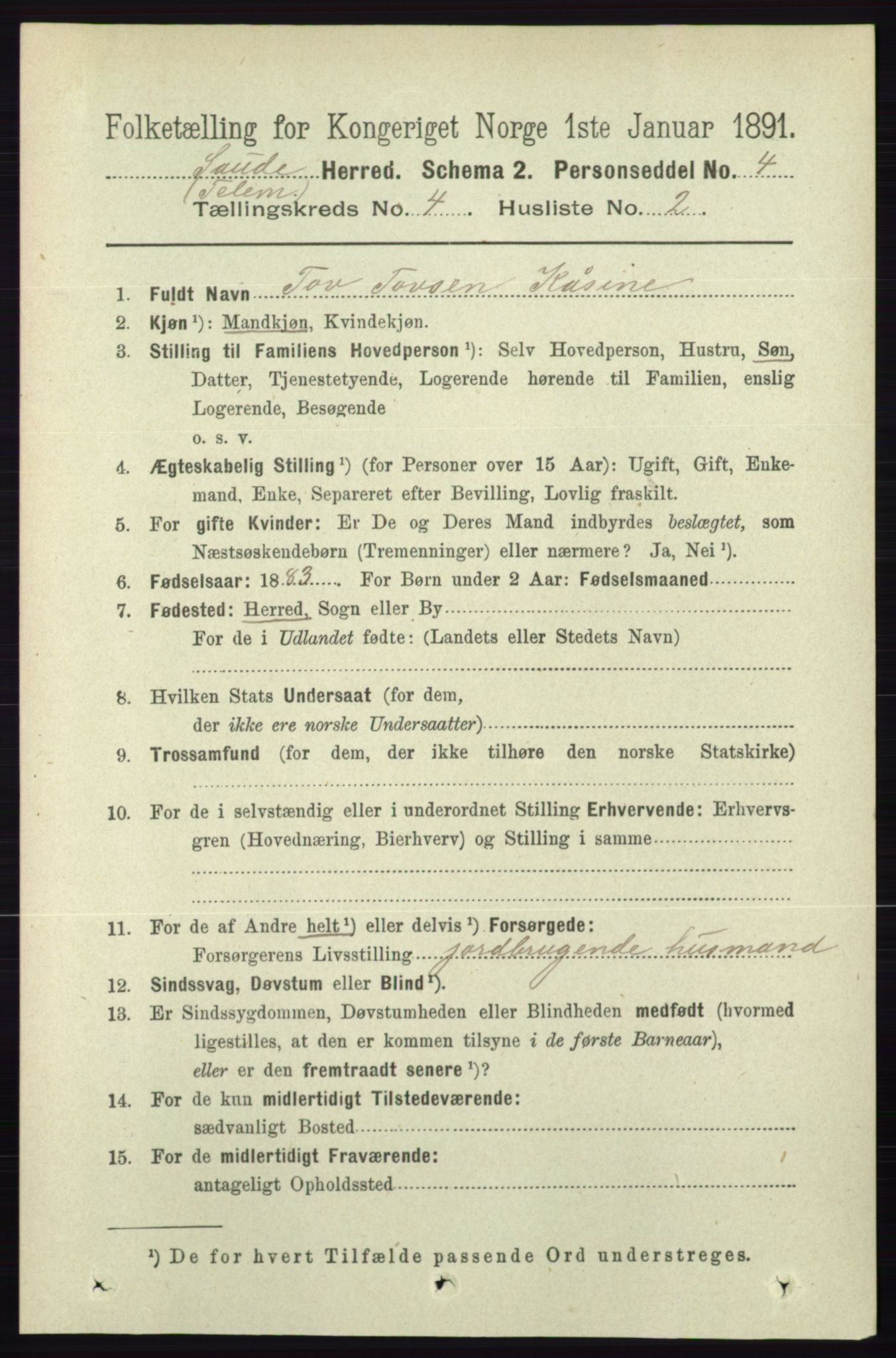 RA, 1891 census for 0822 Sauherad, 1891, p. 1104