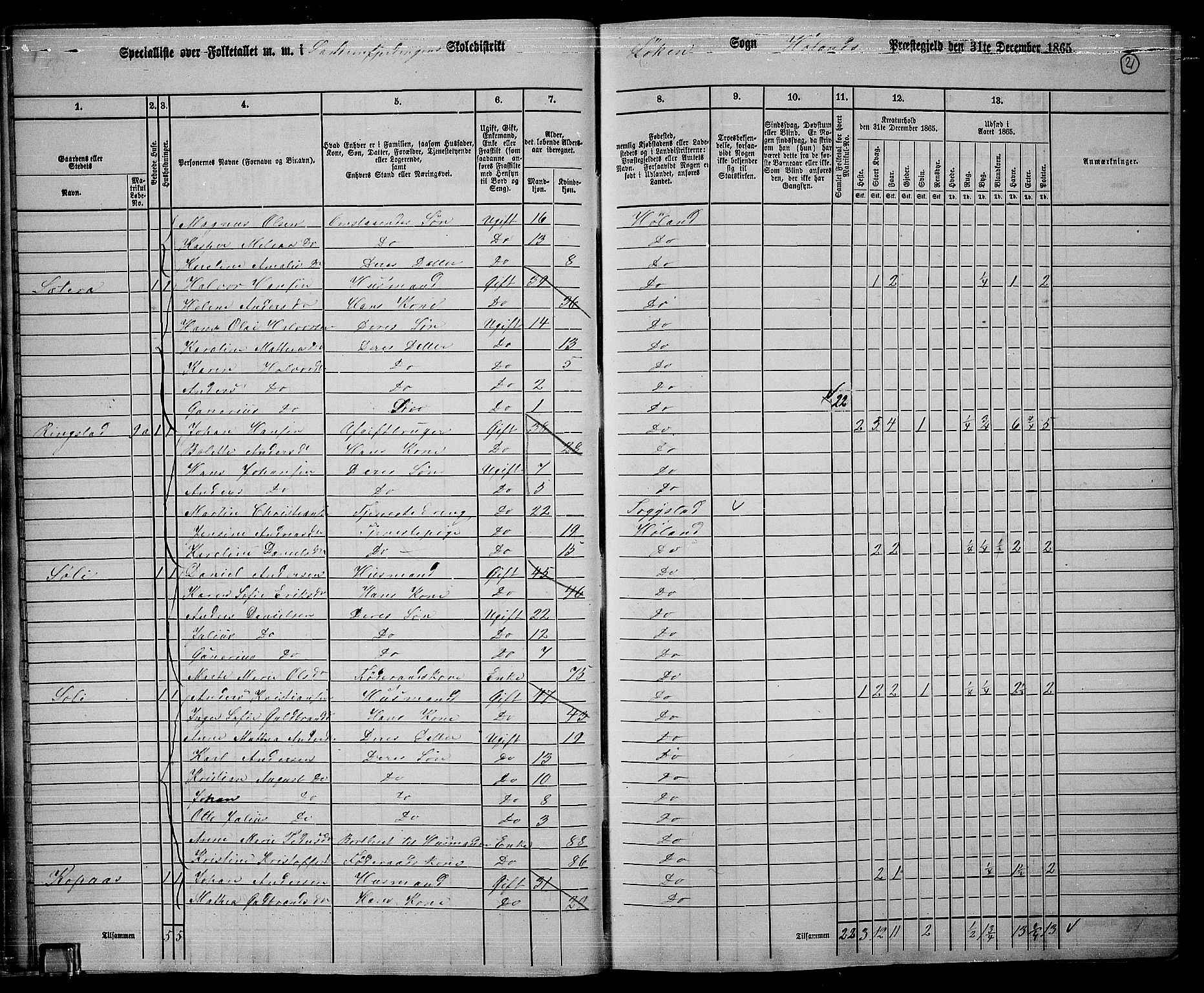 RA, 1865 census for Høland, 1865, p. 21