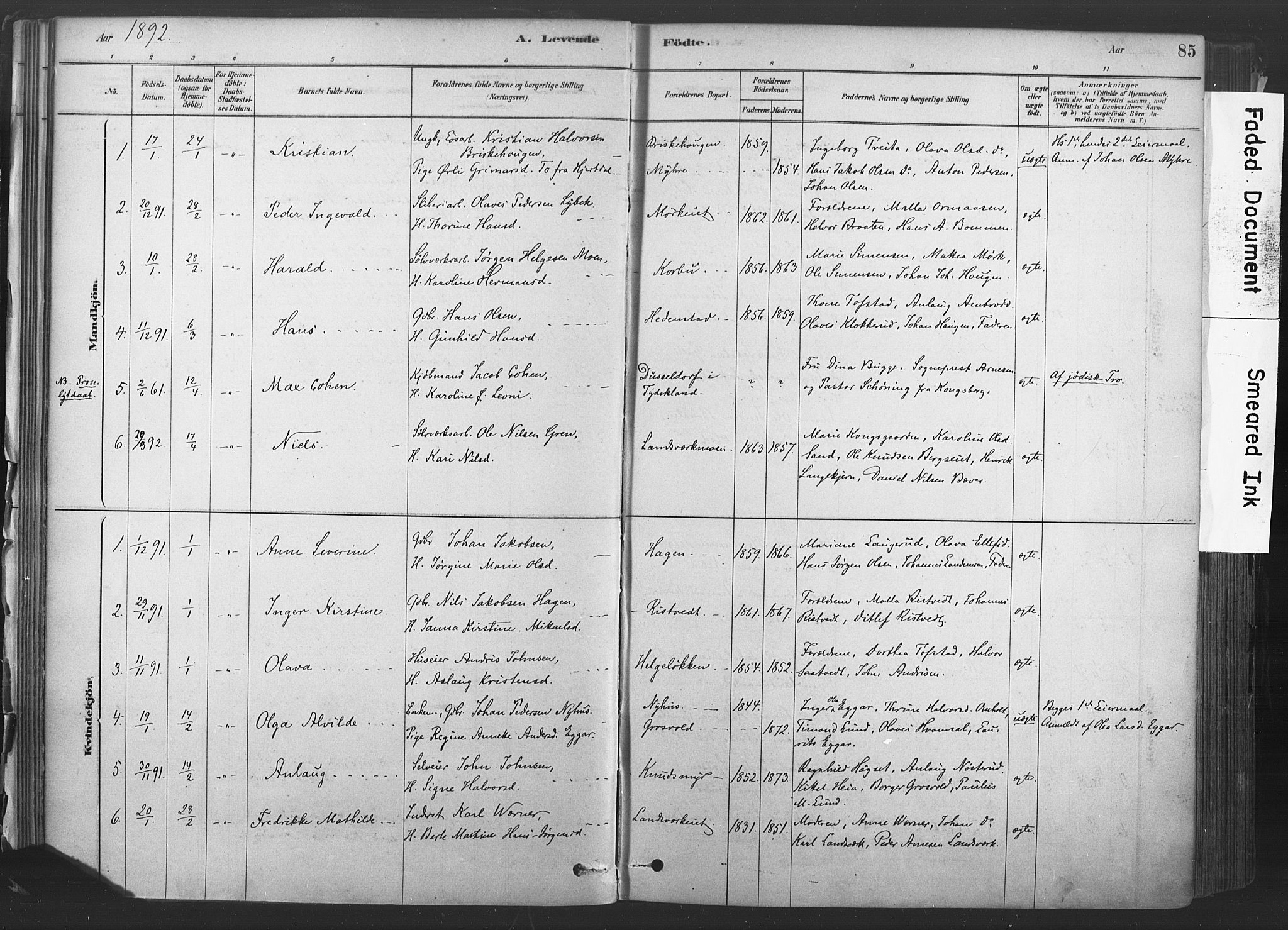 Sandsvær kirkebøker, AV/SAKO-A-244/F/Fd/L0001: Parish register (official) no. IV 1, 1878-1906, p. 85