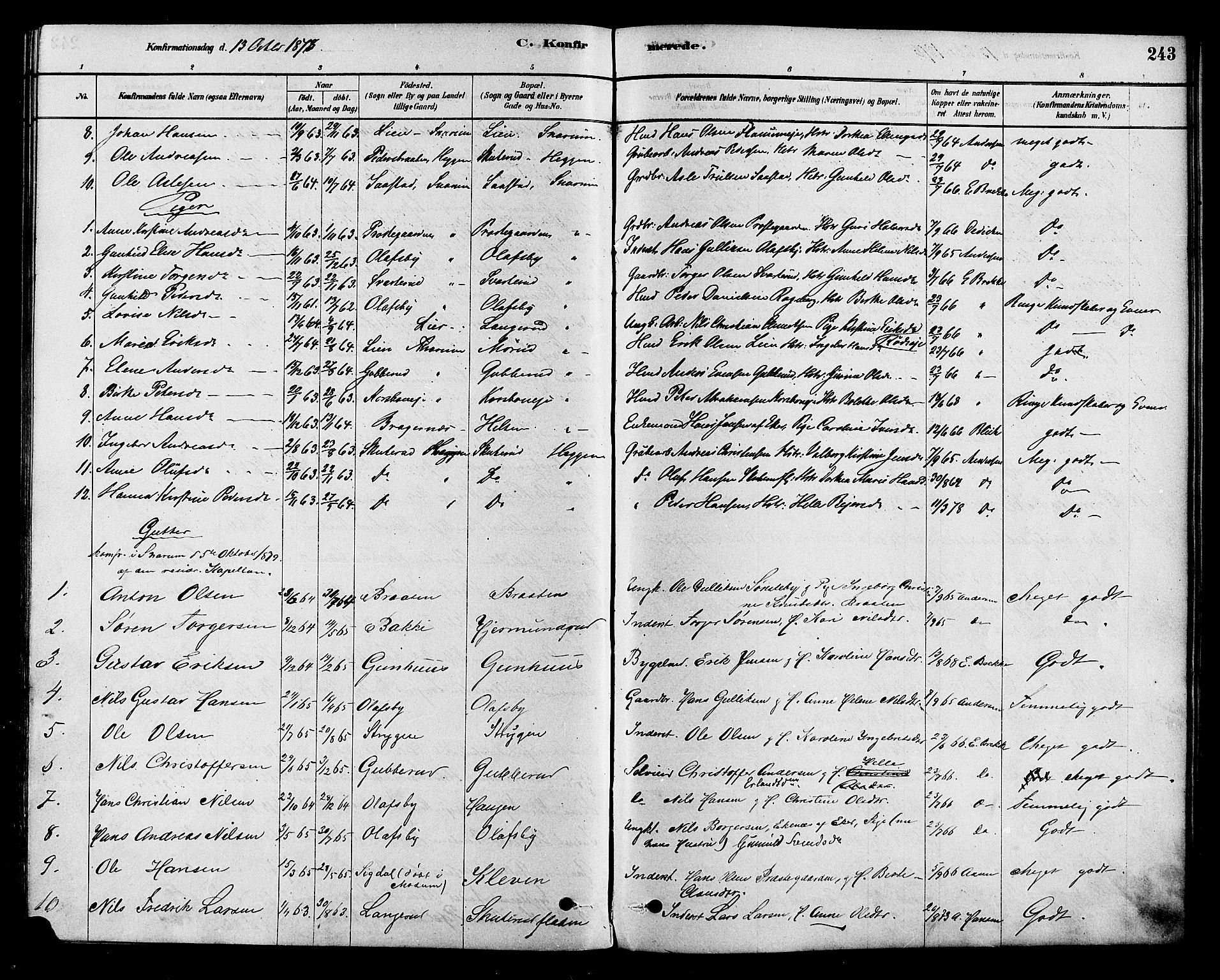 Modum kirkebøker, AV/SAKO-A-234/F/Fa/L0015: Parish register (official) no. 15 /2, 1877-1889, p. 243