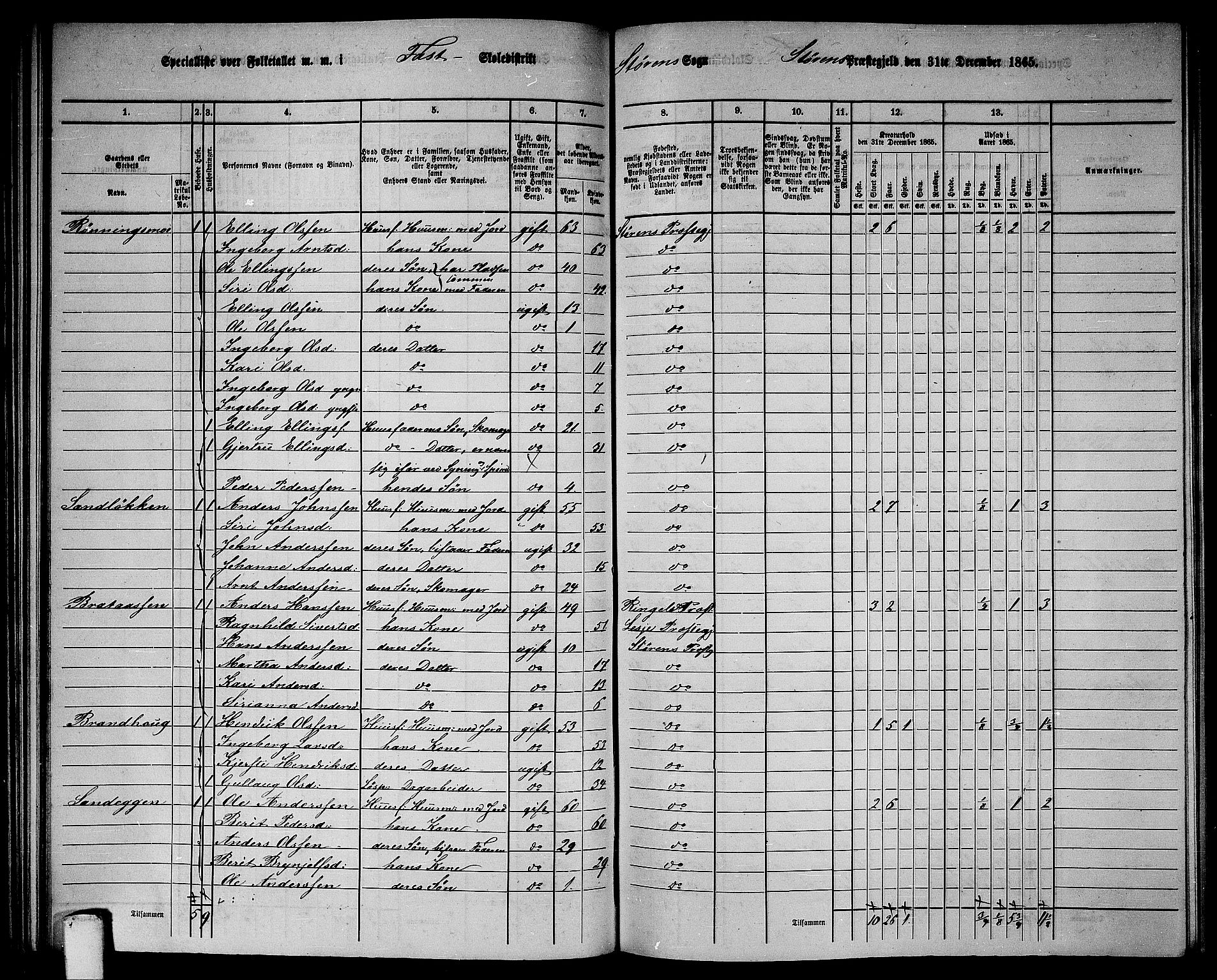 RA, 1865 census for Støren, 1865, p. 91